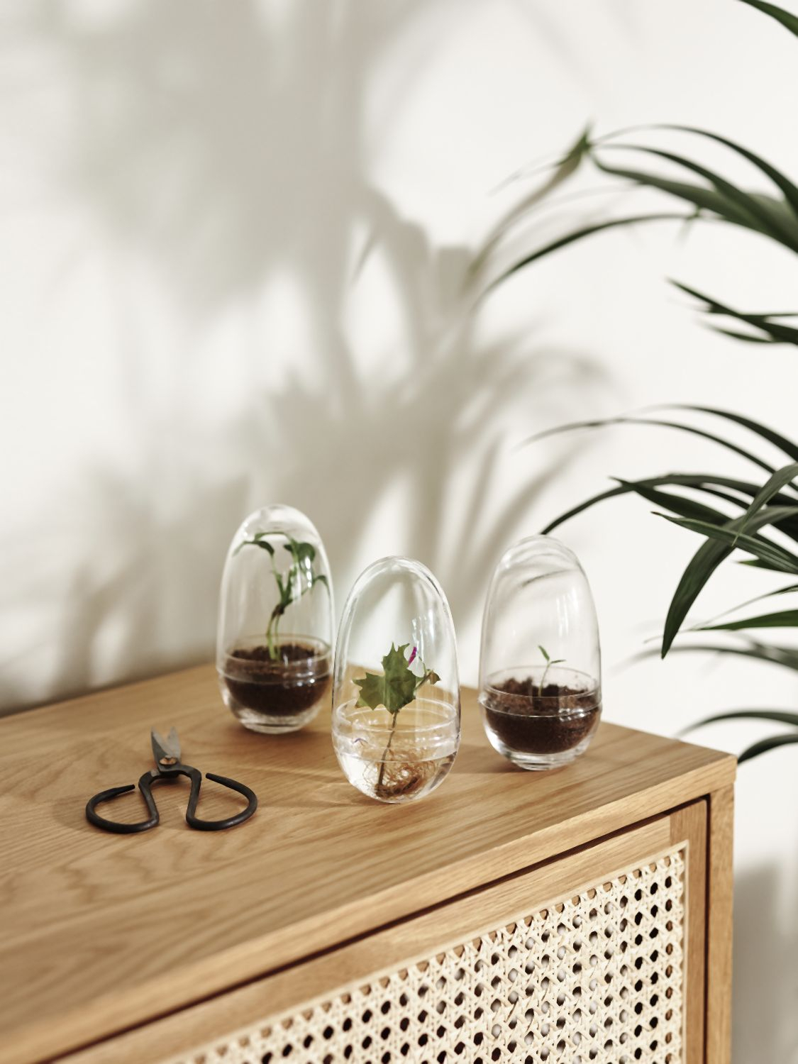 Grow Gewächshaus- Klein Transparent