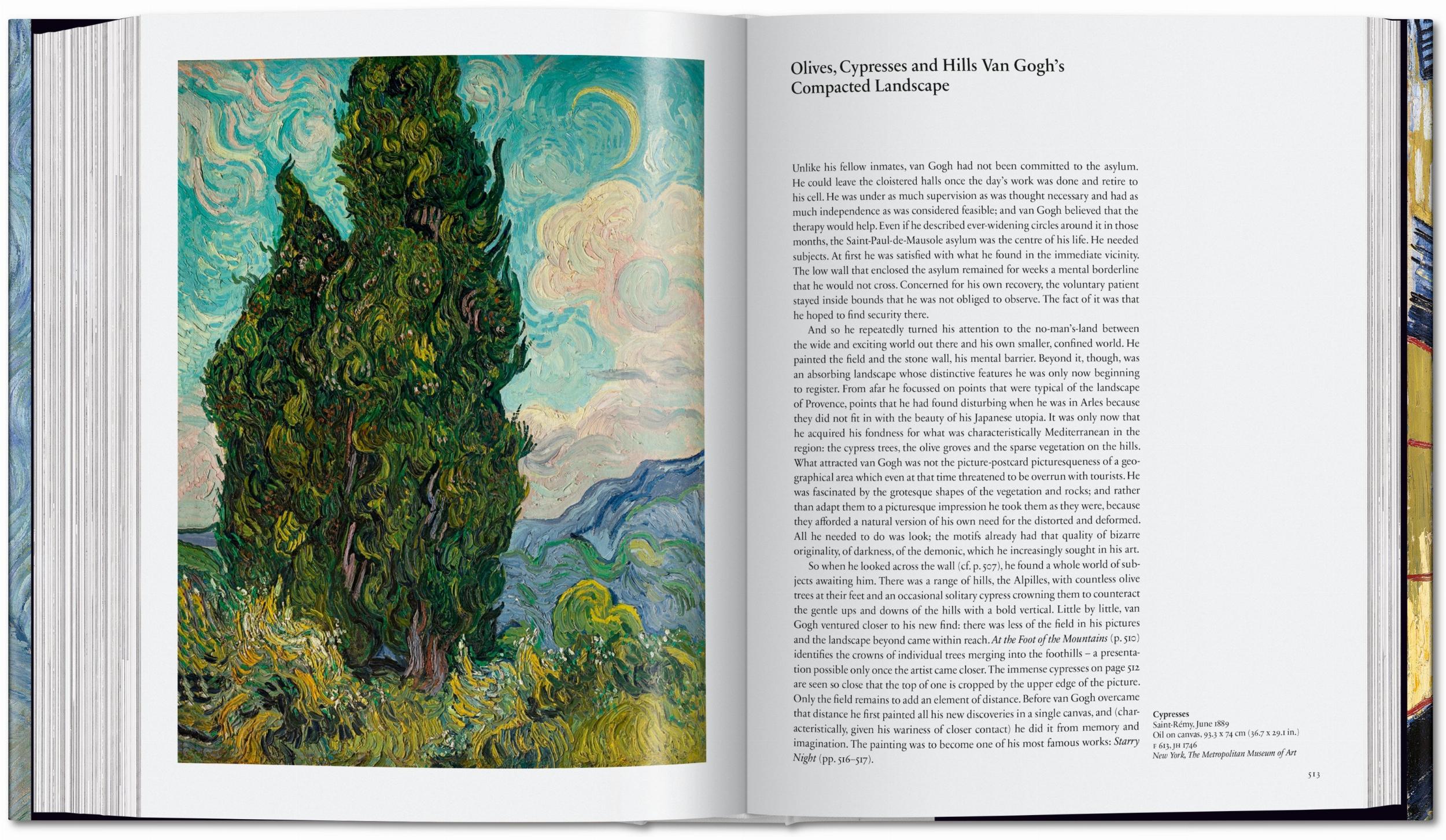 Van Gogh. Sämtliche Gemälde in Deutsch