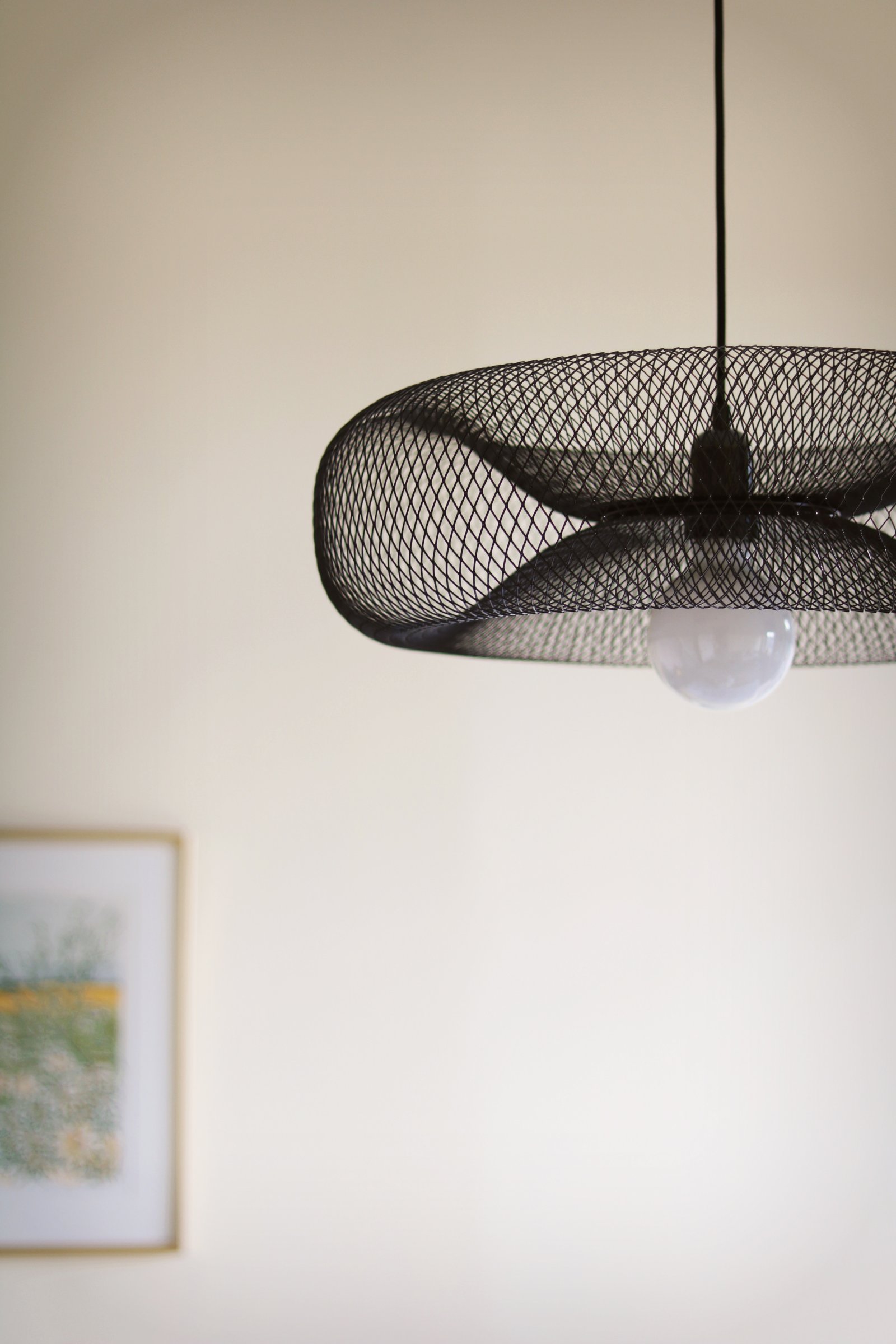 Torus Pendant Lamp Black Ø 50cm