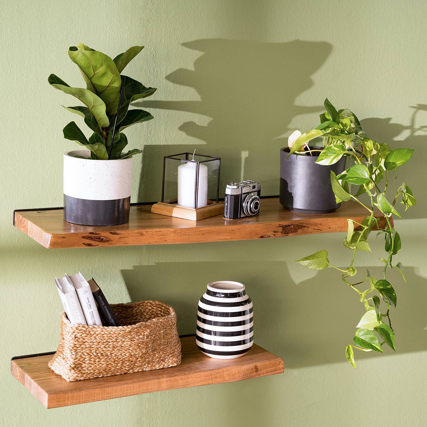 Wandboard Kaawo Akazie massiv Breite: 60 cm