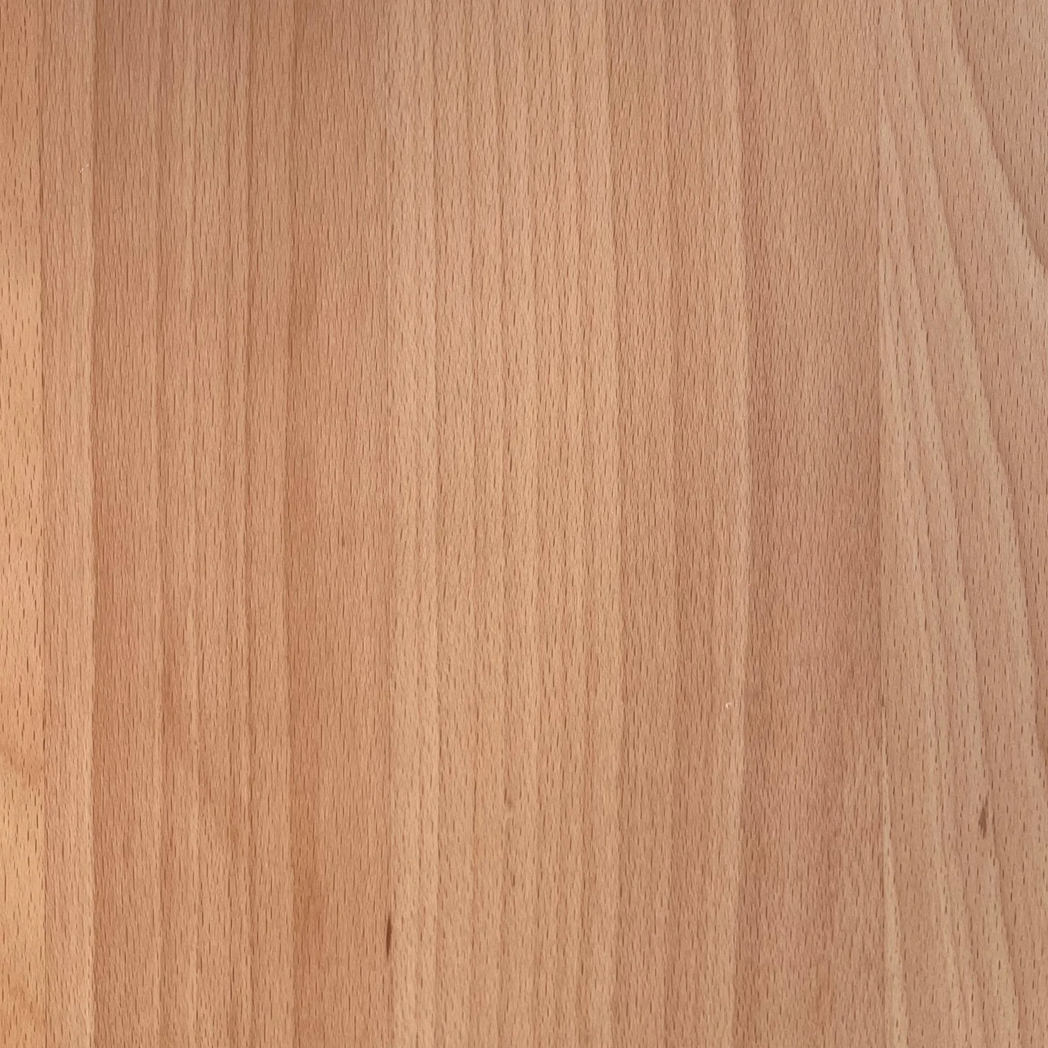 Link Duo Scaffale a parete Legno di faggio Acciaio Naturale