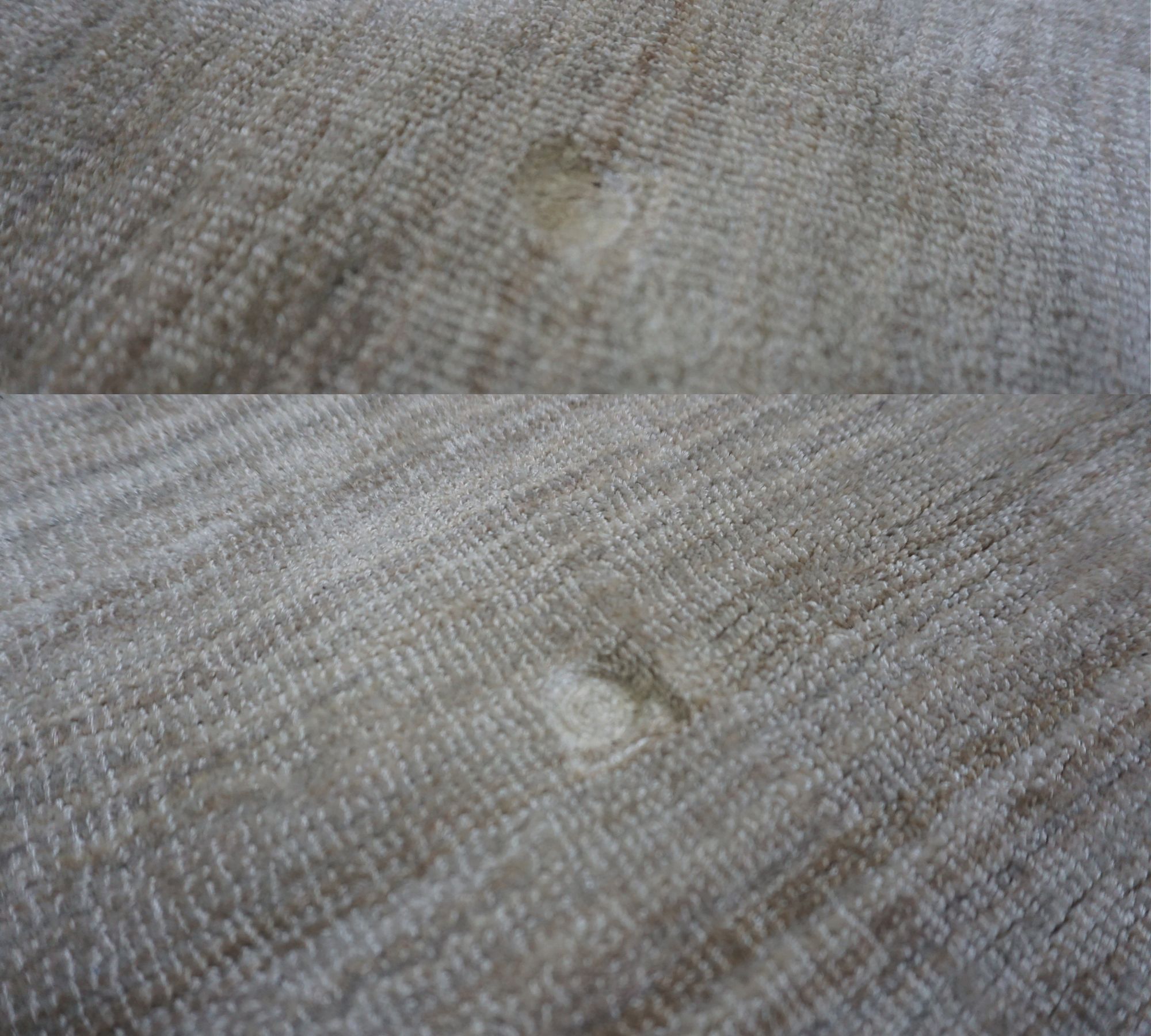 Teppich Velvet Ocean Cream 170 x 240 cm