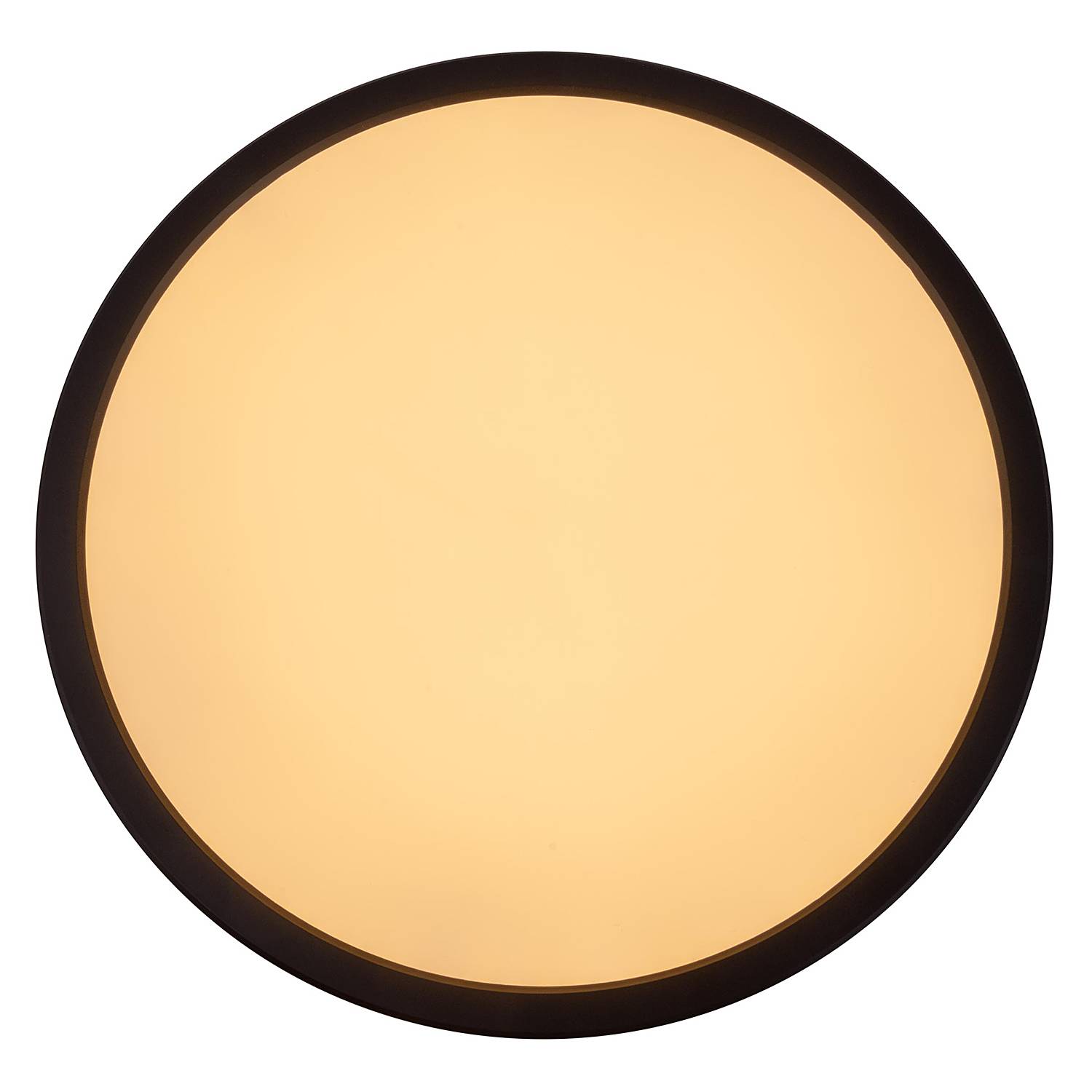 Carlo LED-Deckenleuchte Schwarz 1-flammig 54 cm