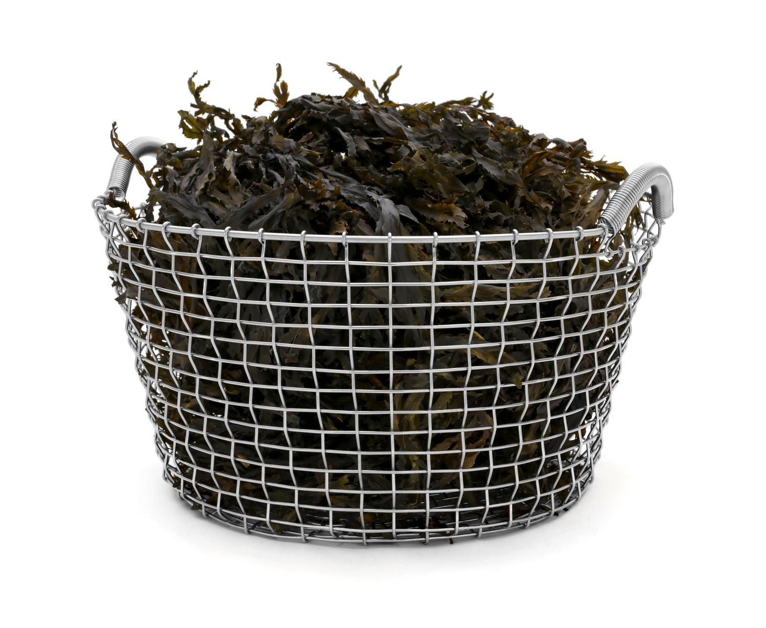 Classic 35 Basket Stainless Steel Silver