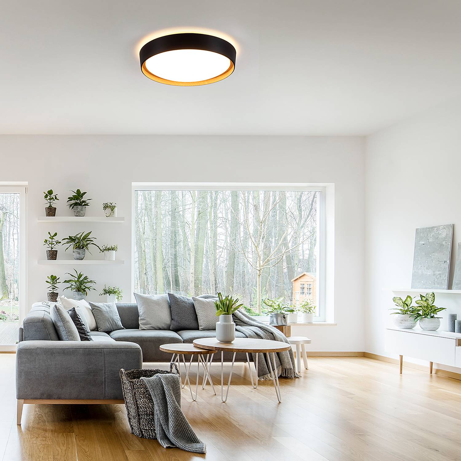 Emilia LED-Deckenleuchte Polycarbonat 1-flammig