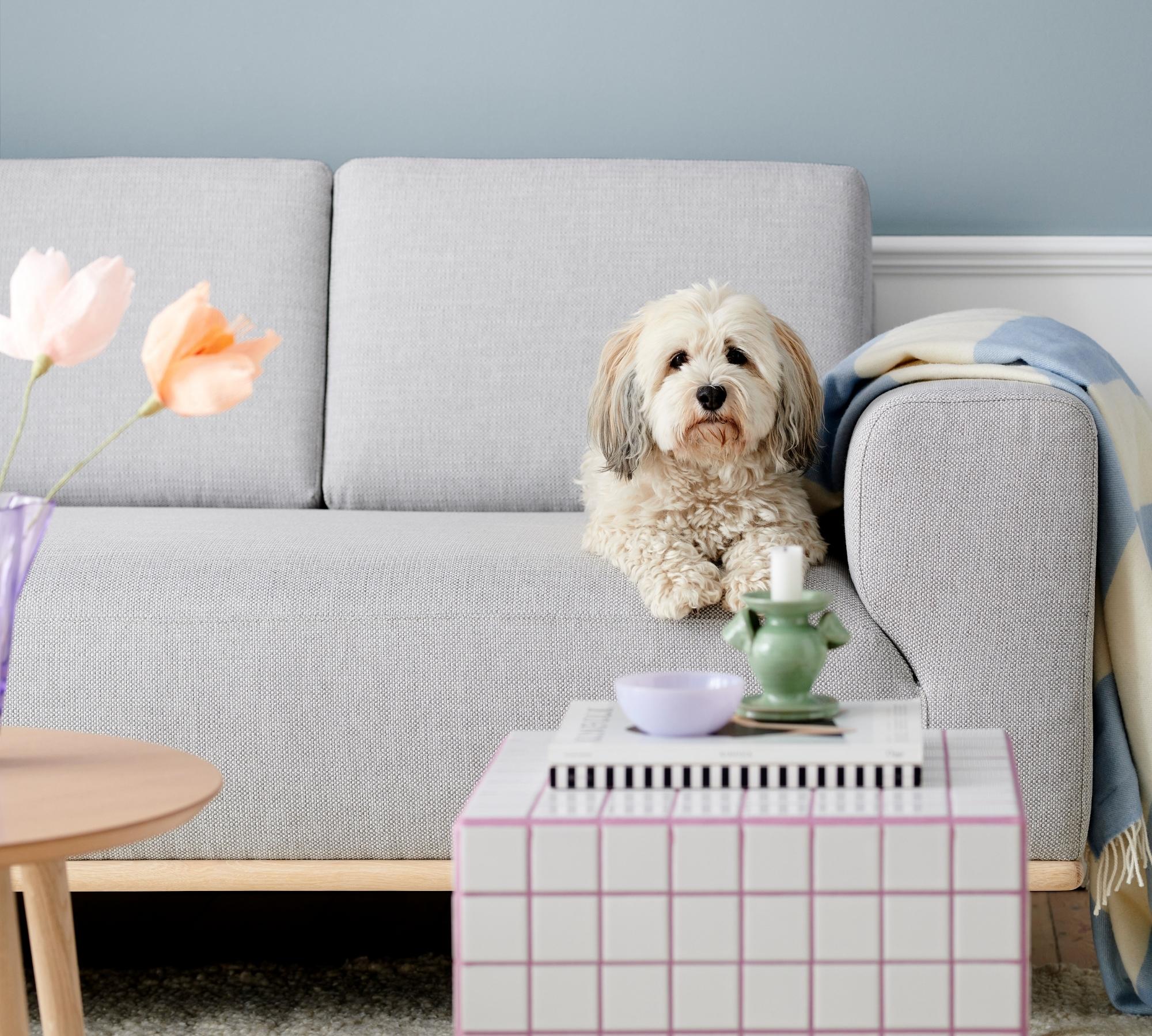Vilmar Sofa 3-Sitzer Talent Cool Grey