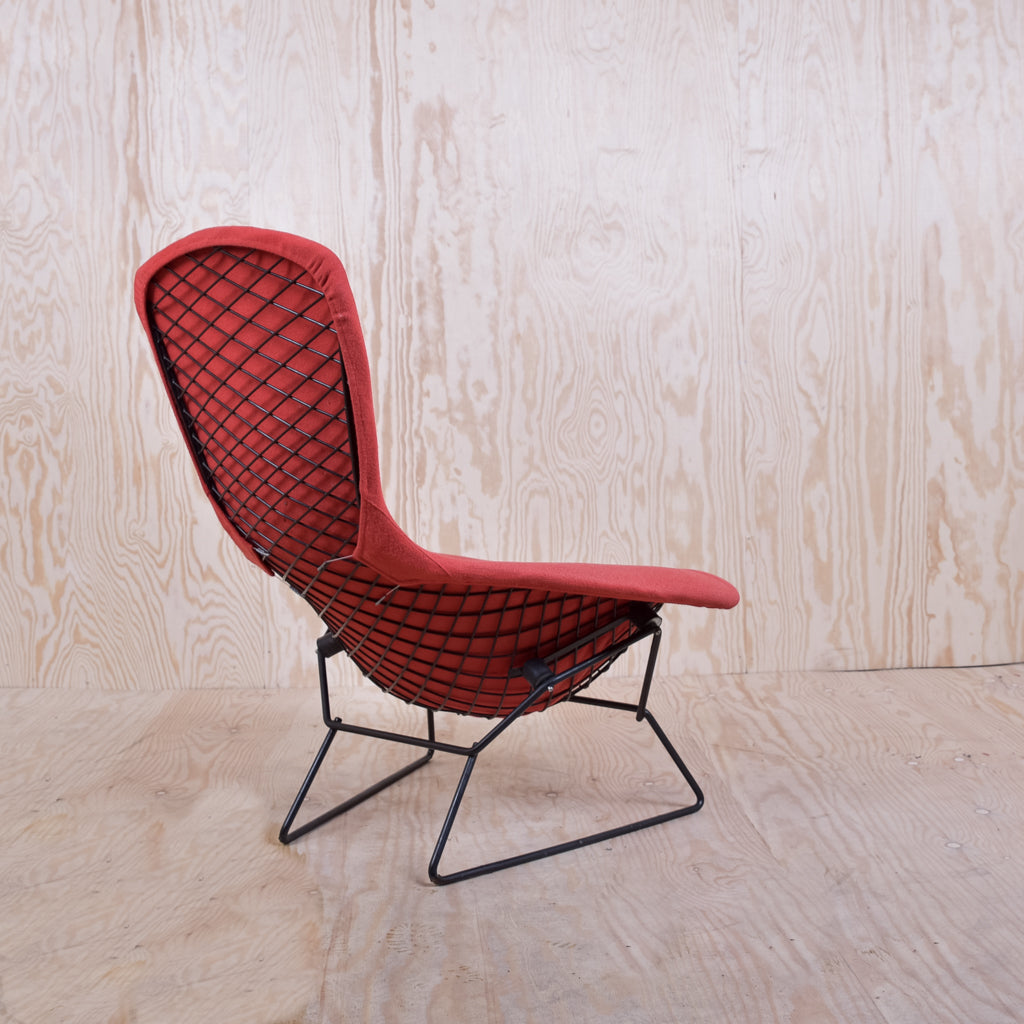 Bertoia Bird Chair Schwarzes Gestell Polster Rot