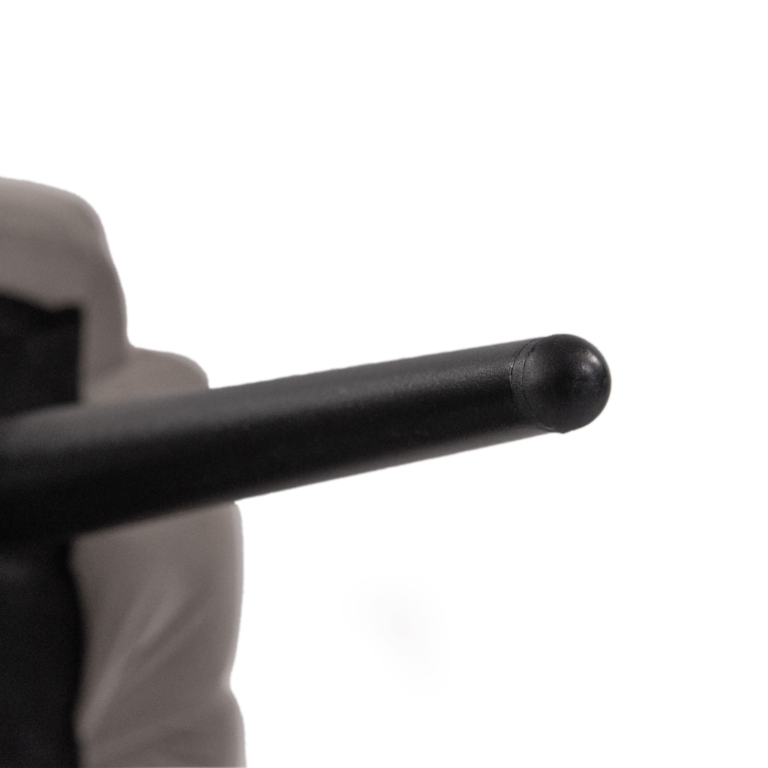 SCALLORE Esszimmerstuhl in Muschelform Samt Grau