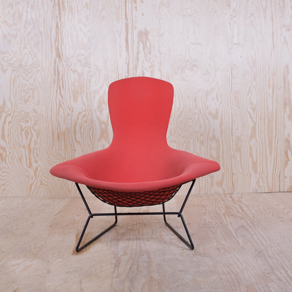 Bertoia Bird Chair Schwarzes Gestell Polster Rot