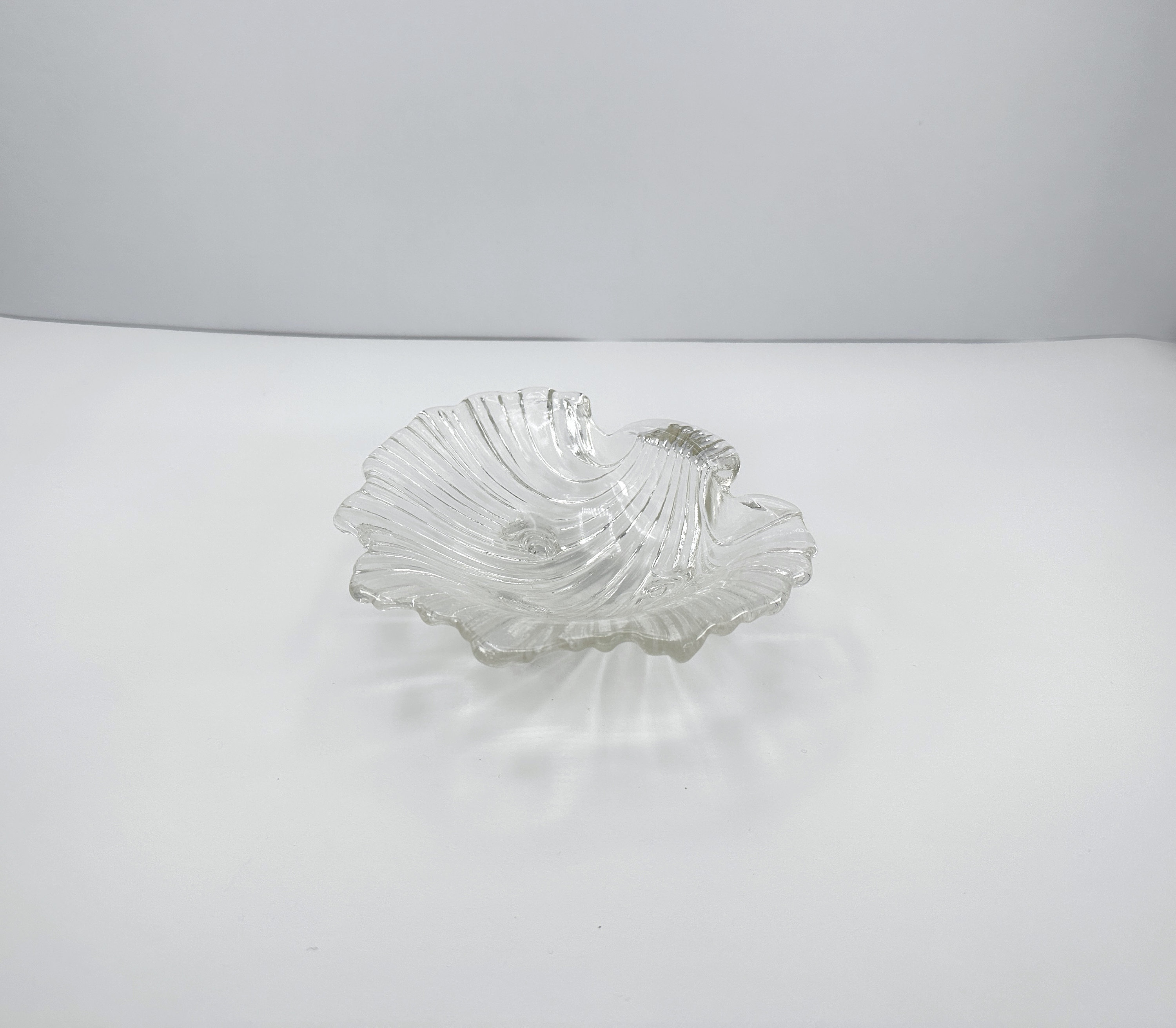 Muschel Schale Glas