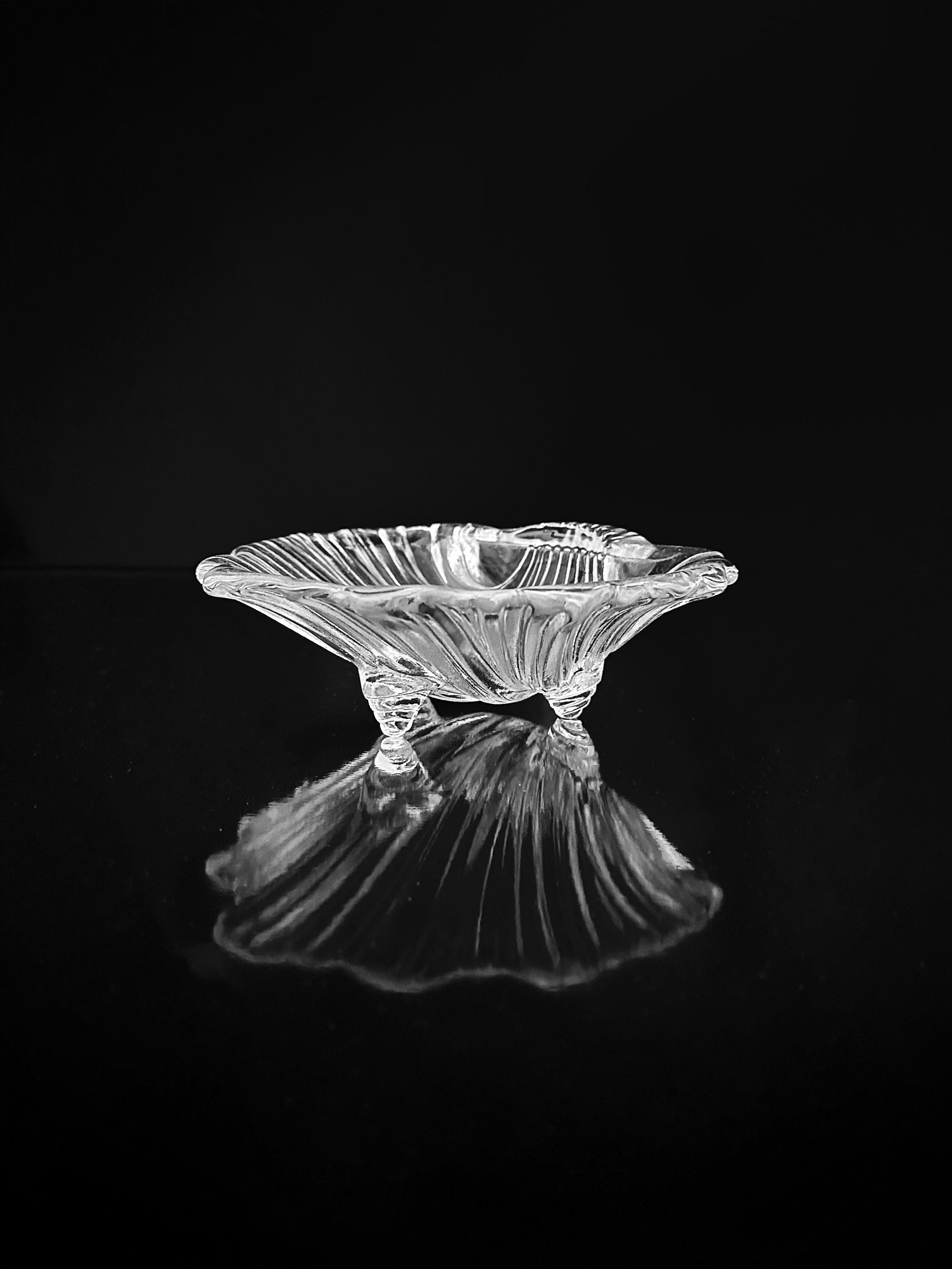 Muschel Schale Glas