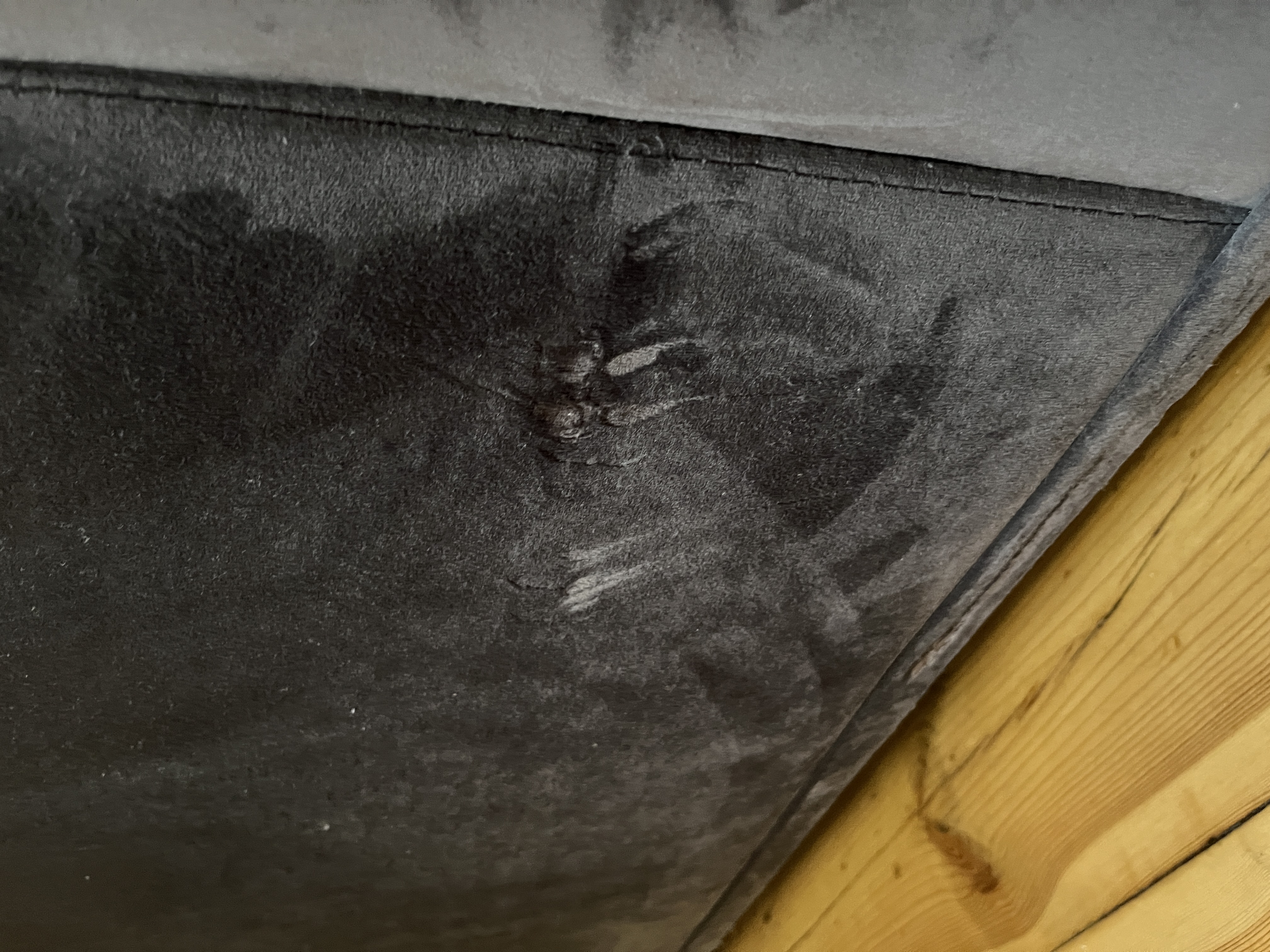 Hannah Sofa 2,5-Sitzer Velour Grey