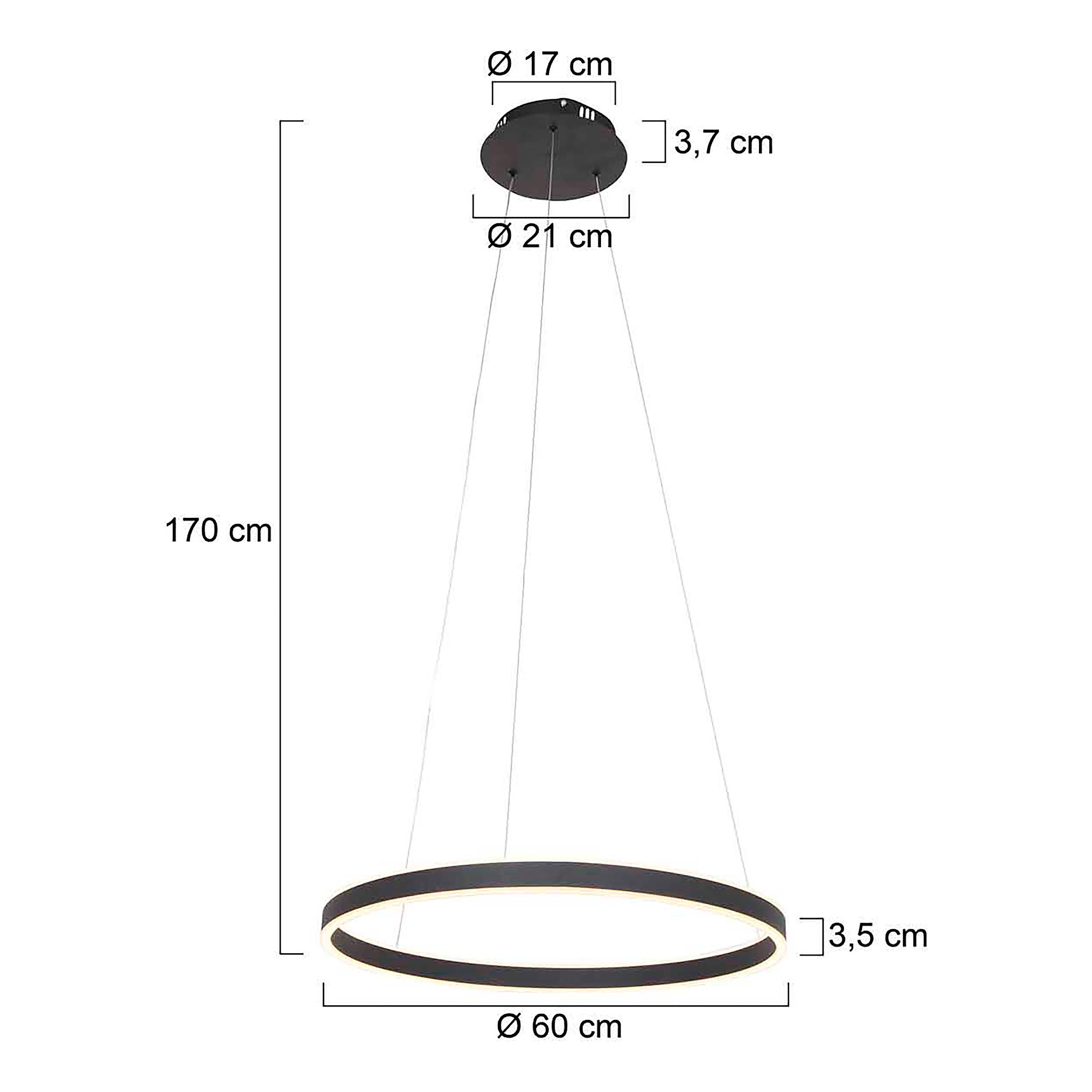 Pendant lamp Ringlux Type A Aluminum Silver