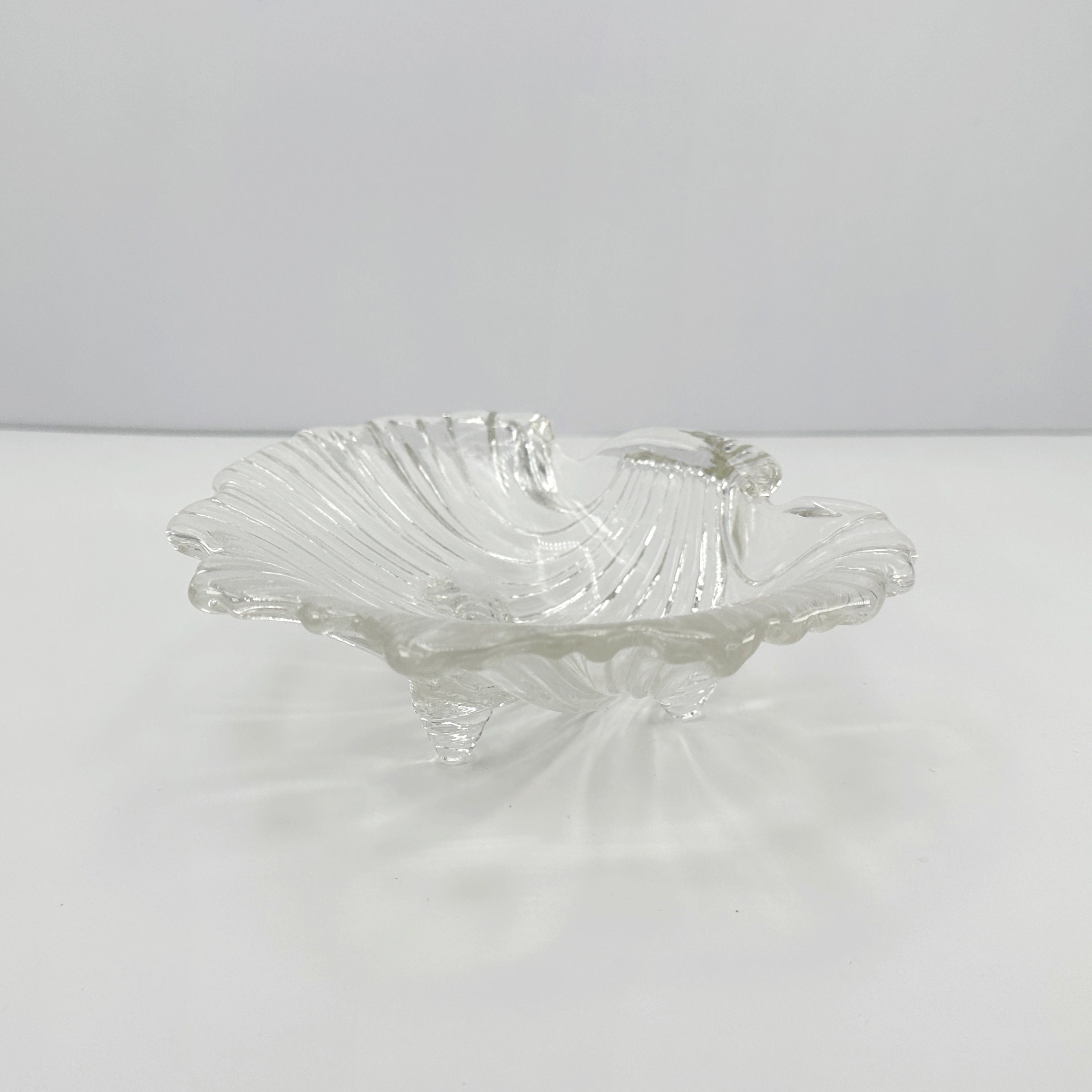 Muschel Schale Glas