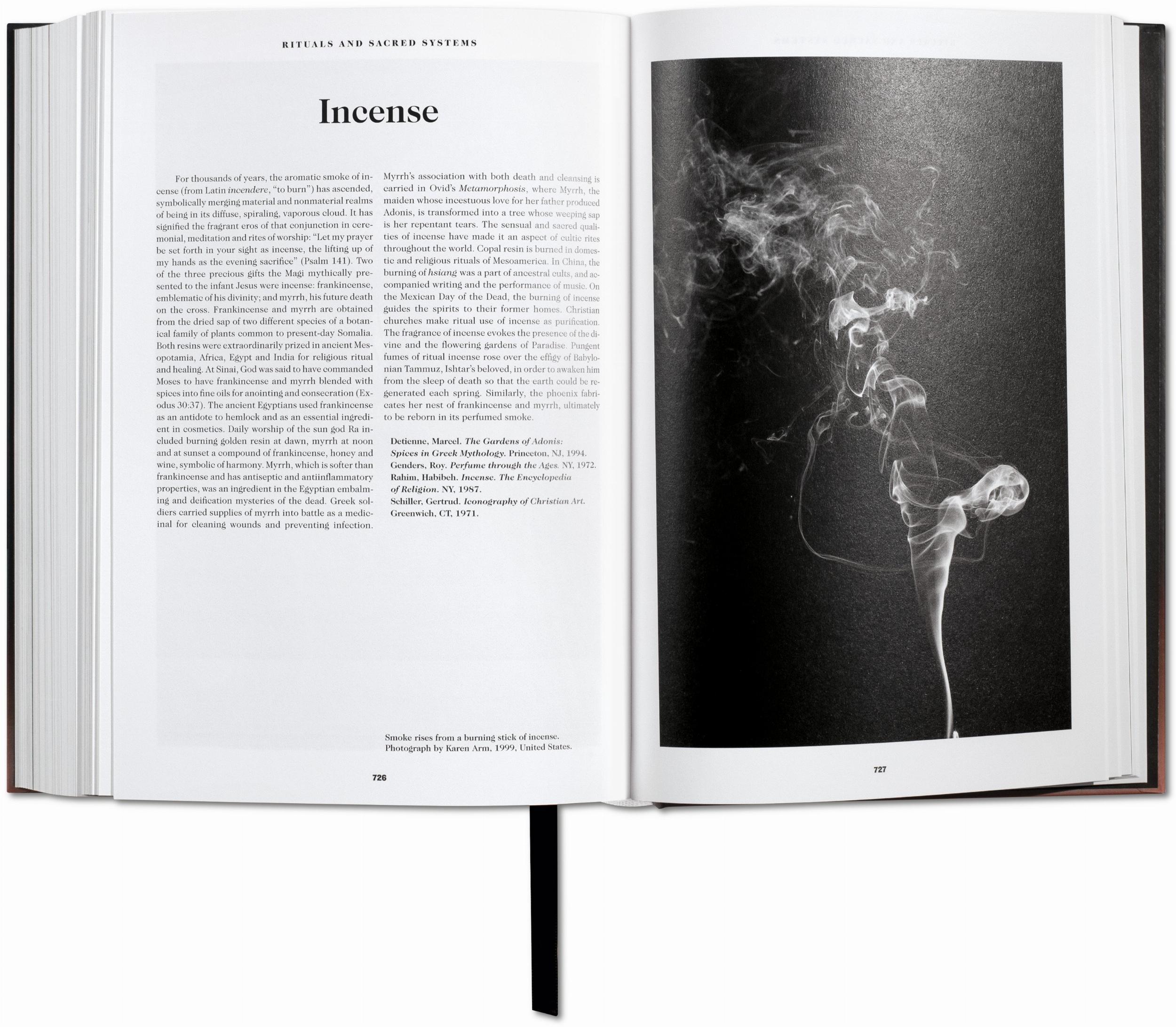 Das Buch der Symbole: Archetypische Bilder
