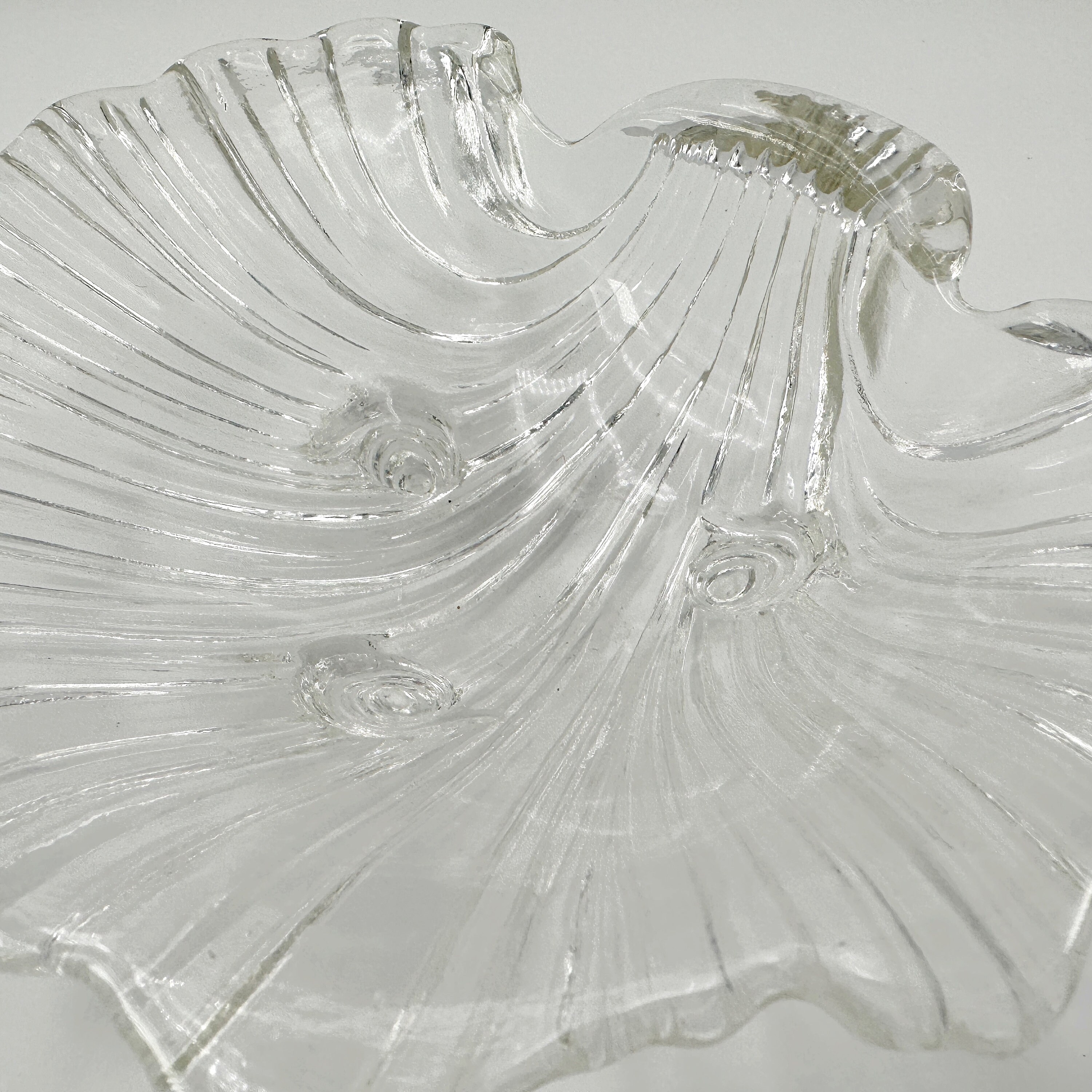 Muschel Schale Glas