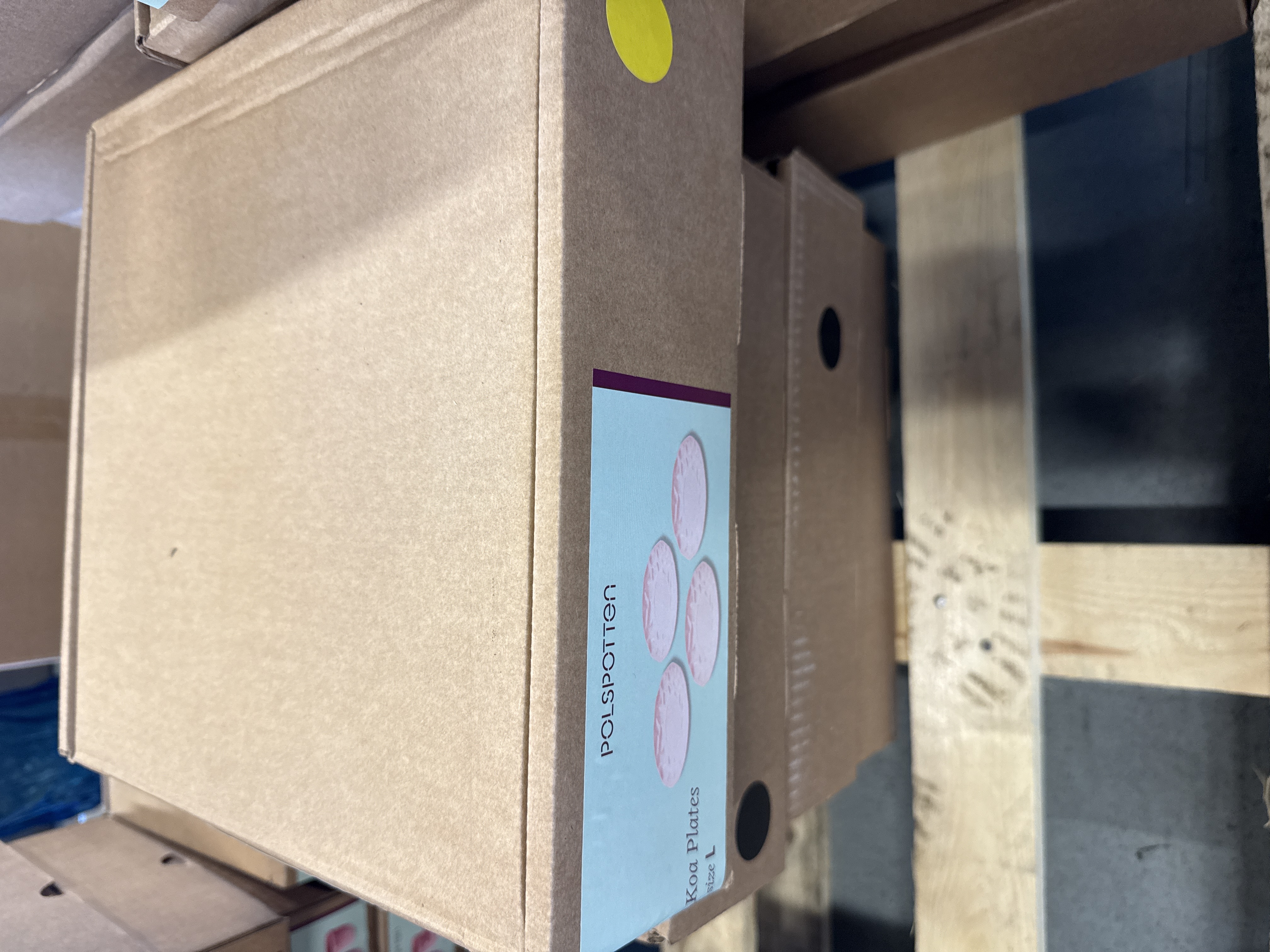 4x Koa Plate Set Ceramic Pink