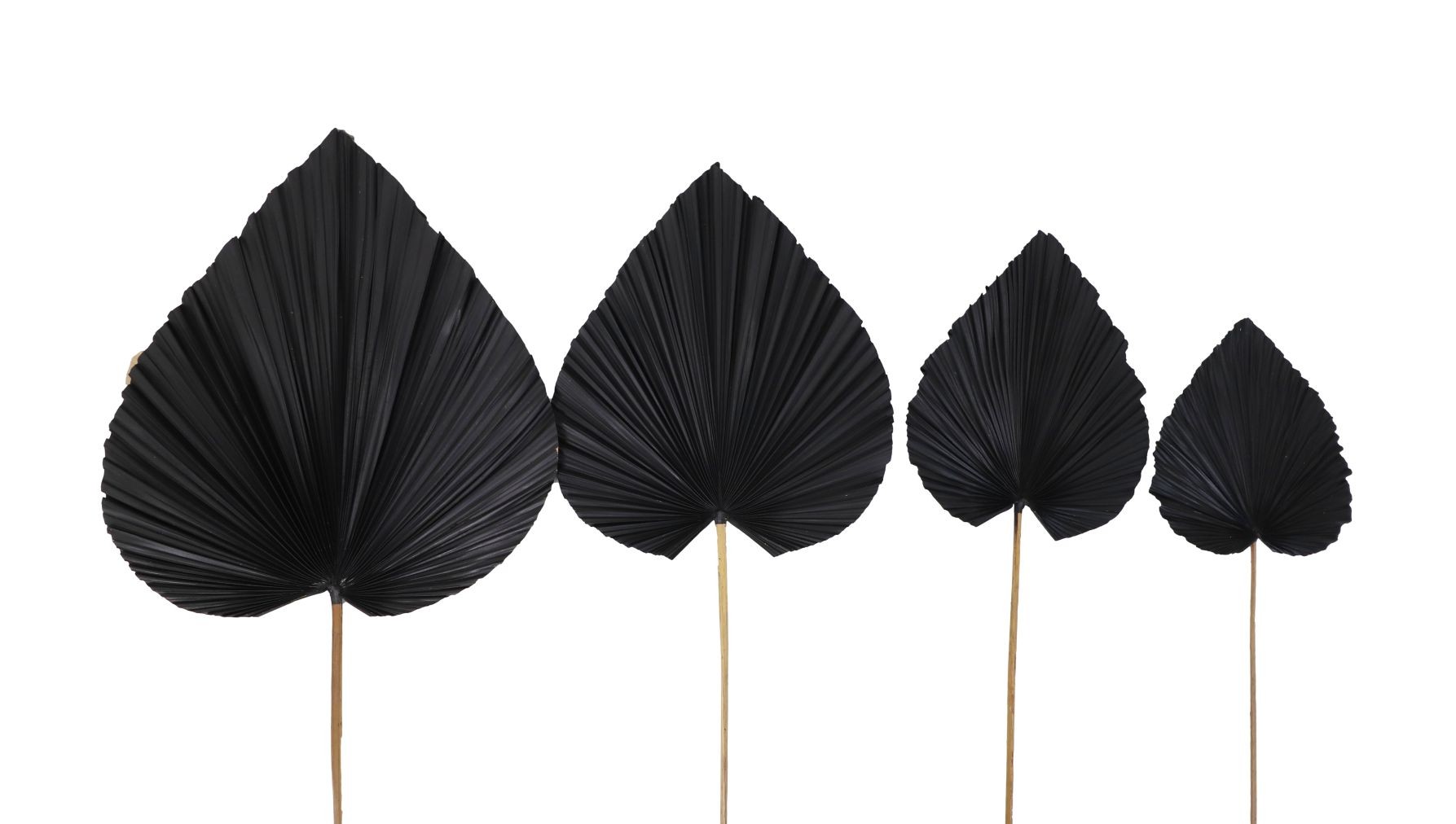 4x Dekoratives Palmblatt Schwarz