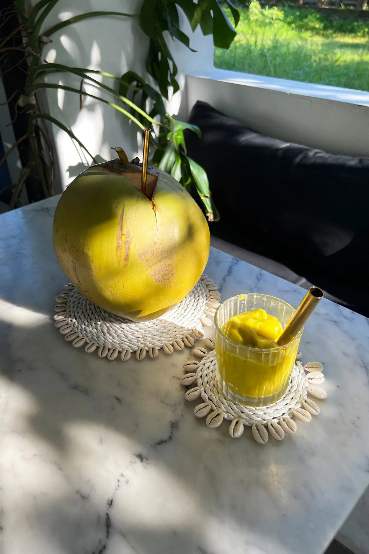 Shell Sottobicchiere Alga marina Crema