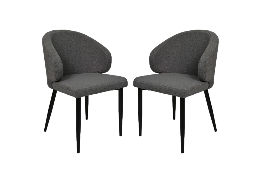 2x Yuna Esszimmerstuhl Grau