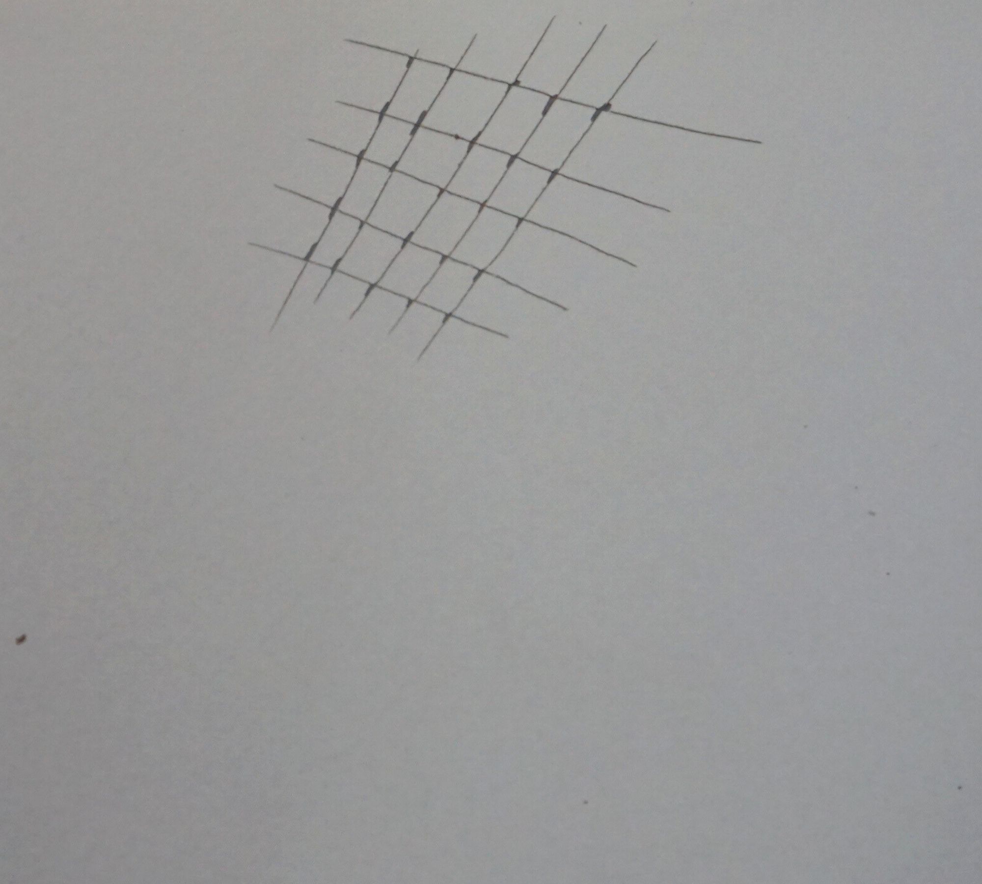 Nexio Shower Basket White 66333