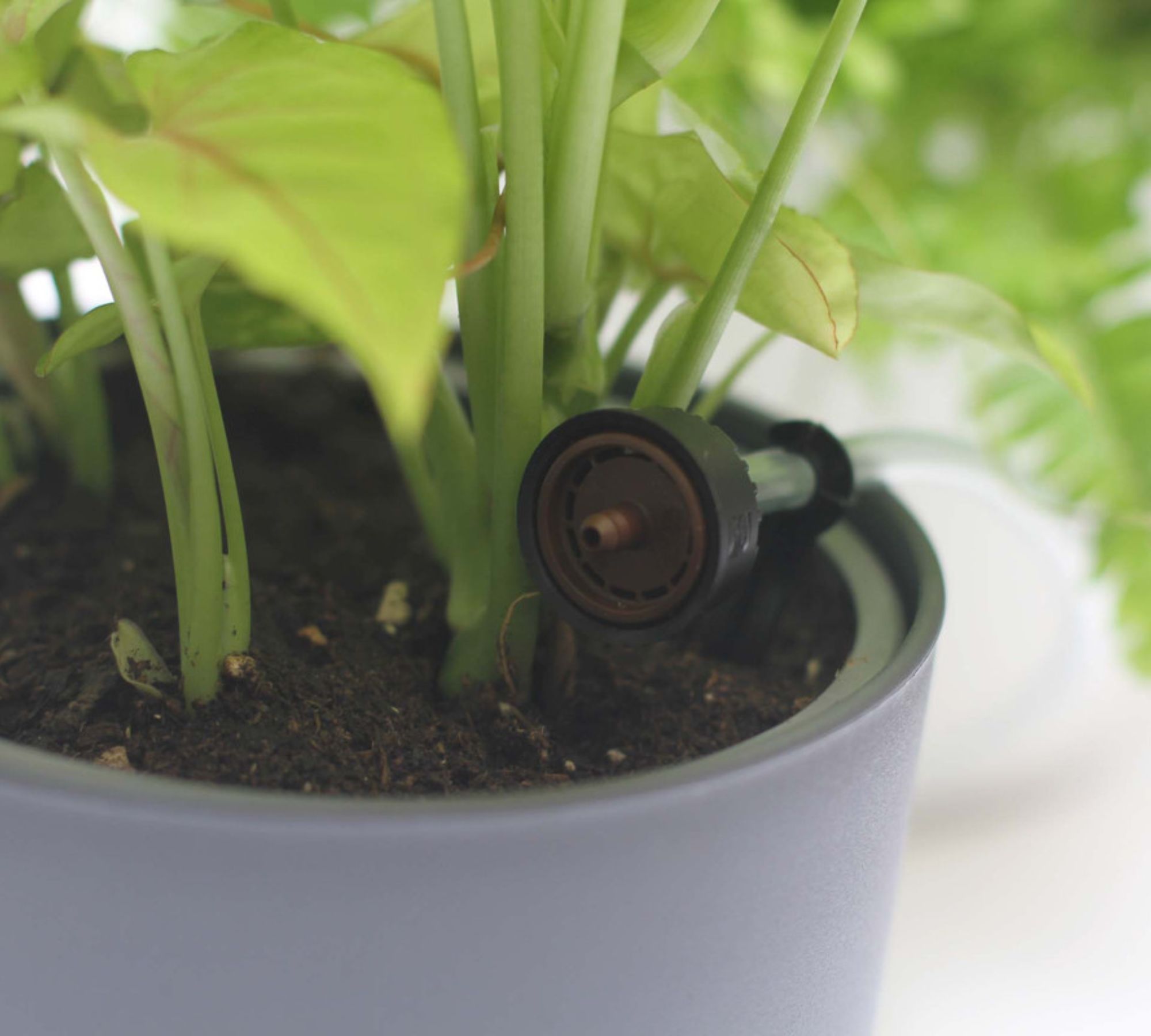 Automatic drip irrigation with Wifi control Grey