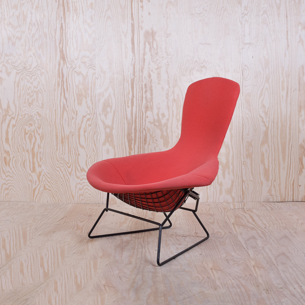 Bertoia Bird Chair Schwarzes Gestell Polster Rot