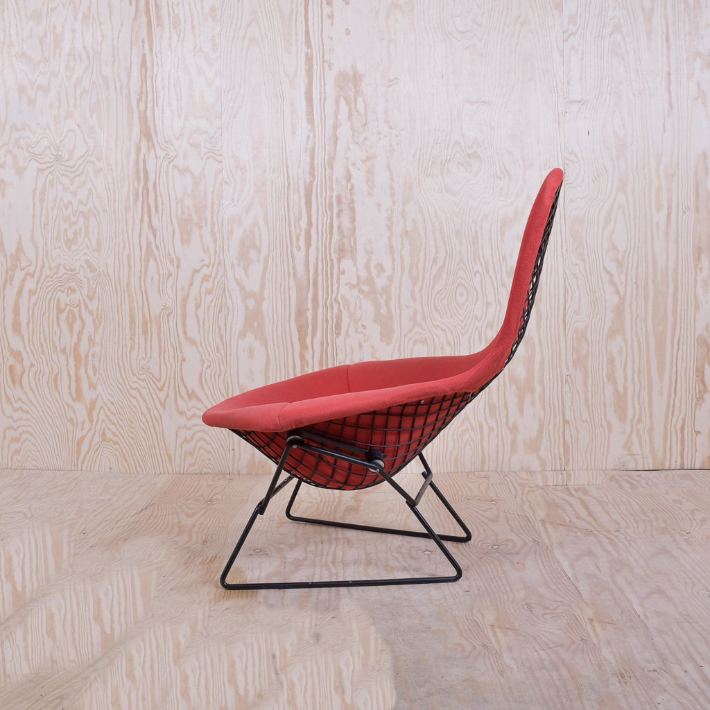 Bertoia Bird Chair Schwarzes Gestell Polster Rot