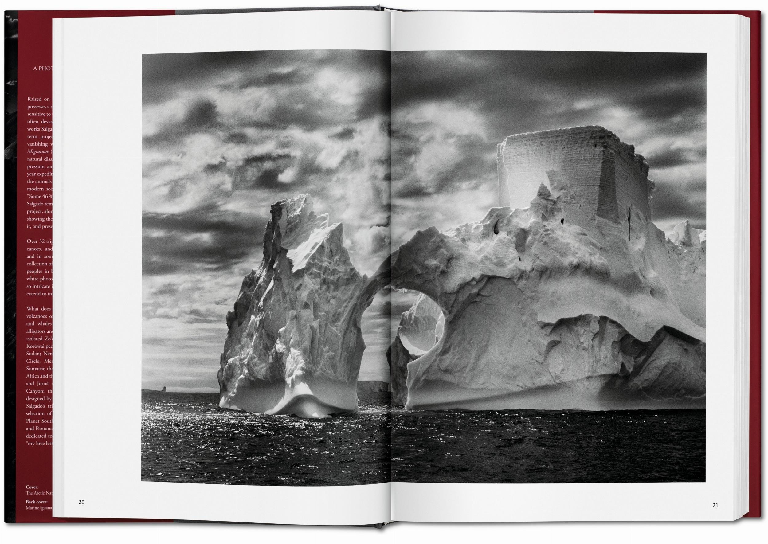 Sebastião Salgado. Genesis