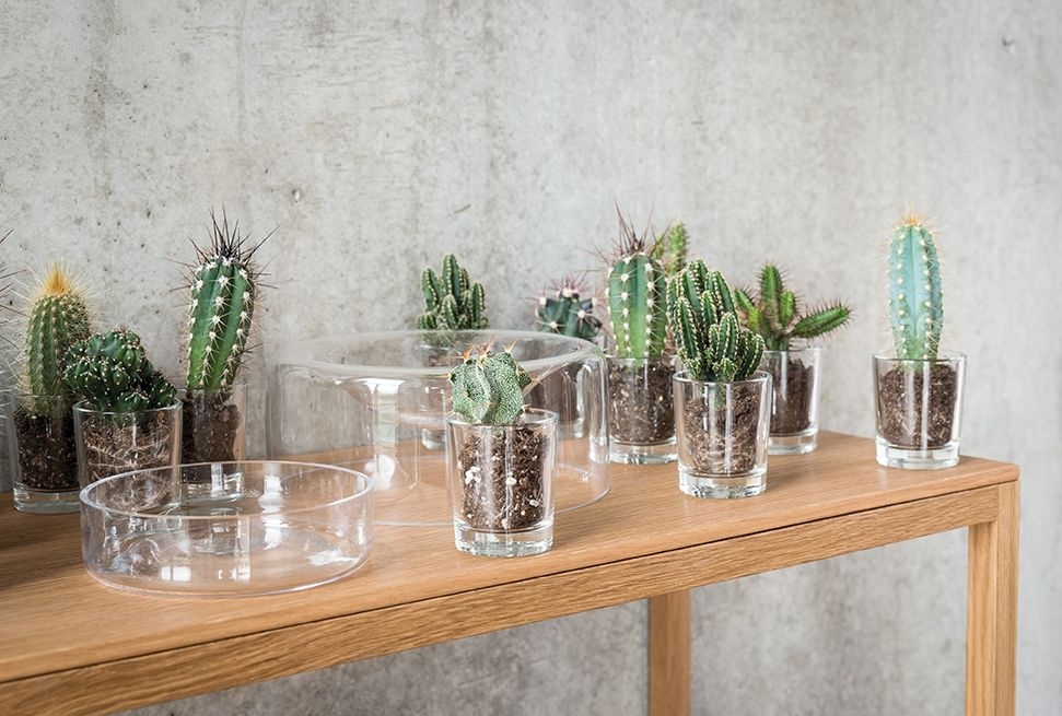 Jar Glasschale Transparent