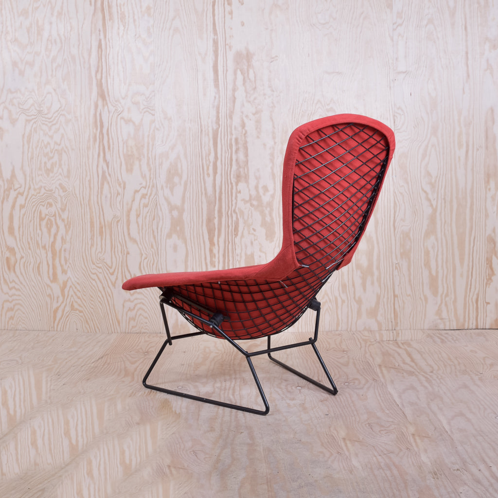 Bertoia Bird Chair Schwarzes Gestell Polster Rot