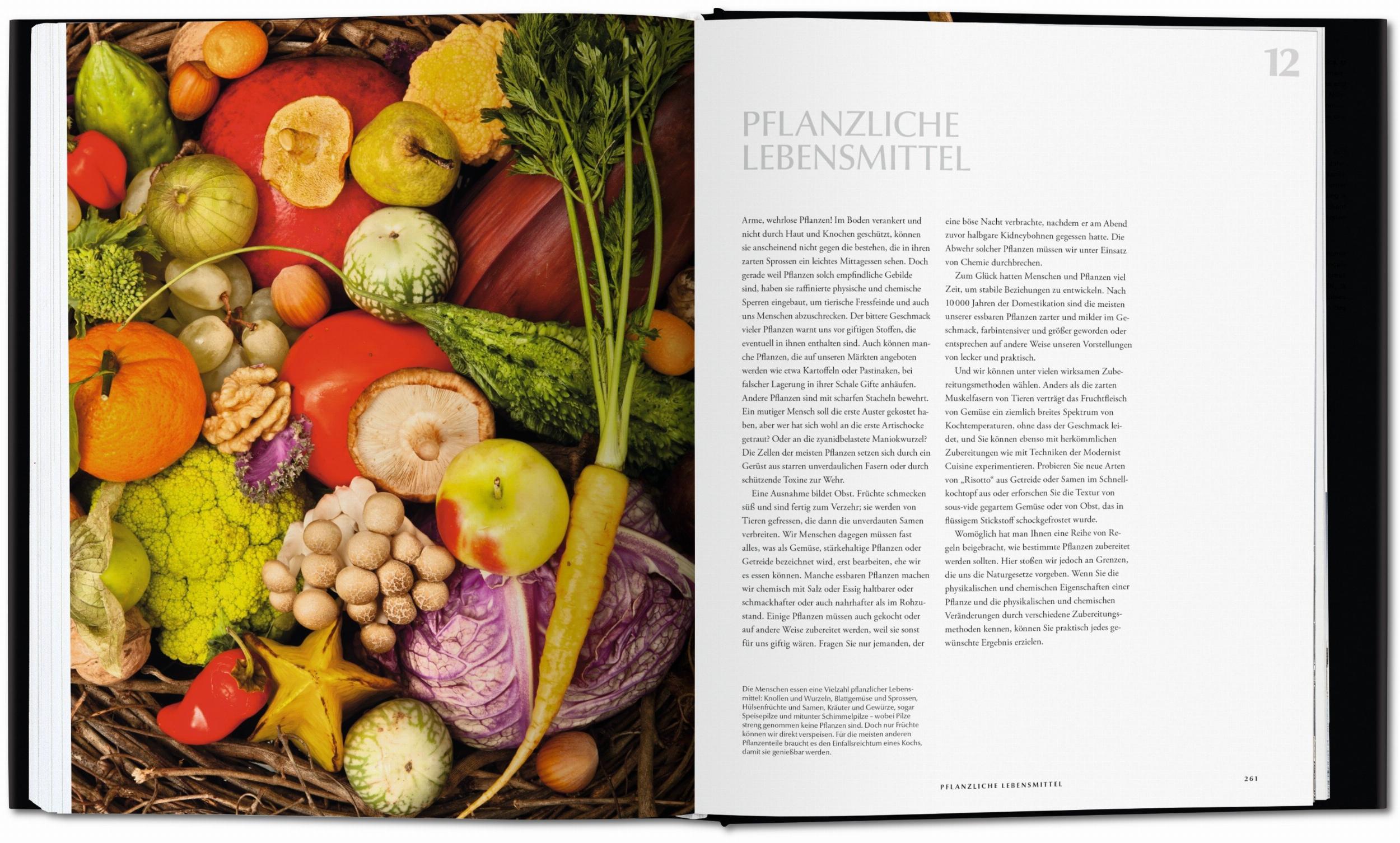 Modernist Cuisine. Die Revolution der Kochkunst