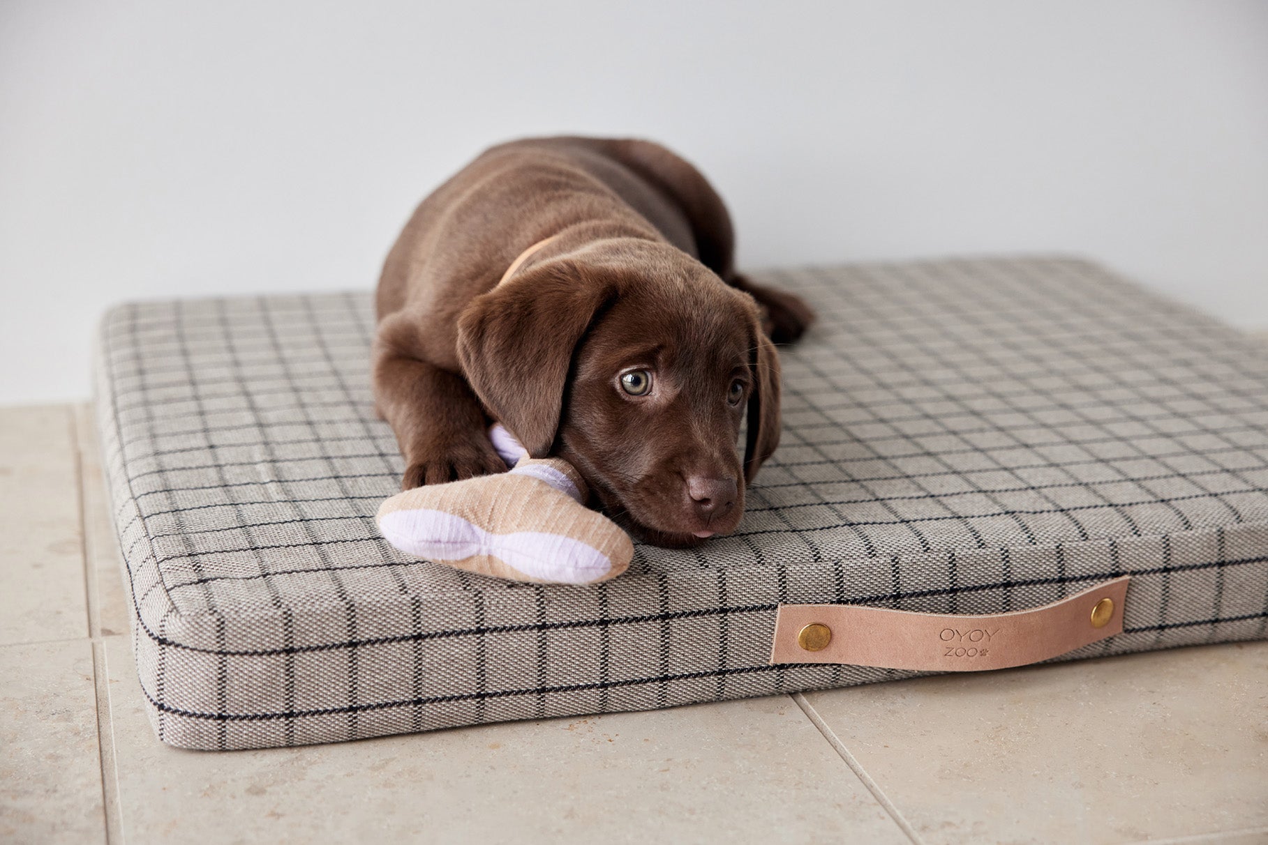 Ashi Hundespielzeug Polyester Recycelt Mehrfarbig