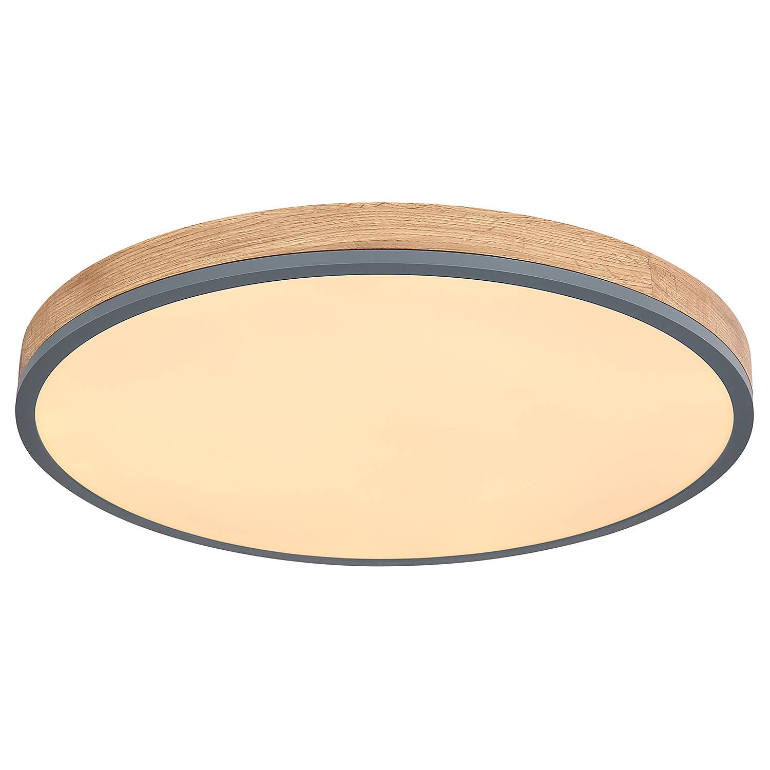 1-Flammig LED-Deckenleuchte Doro Typ H Acrylglas Eisen