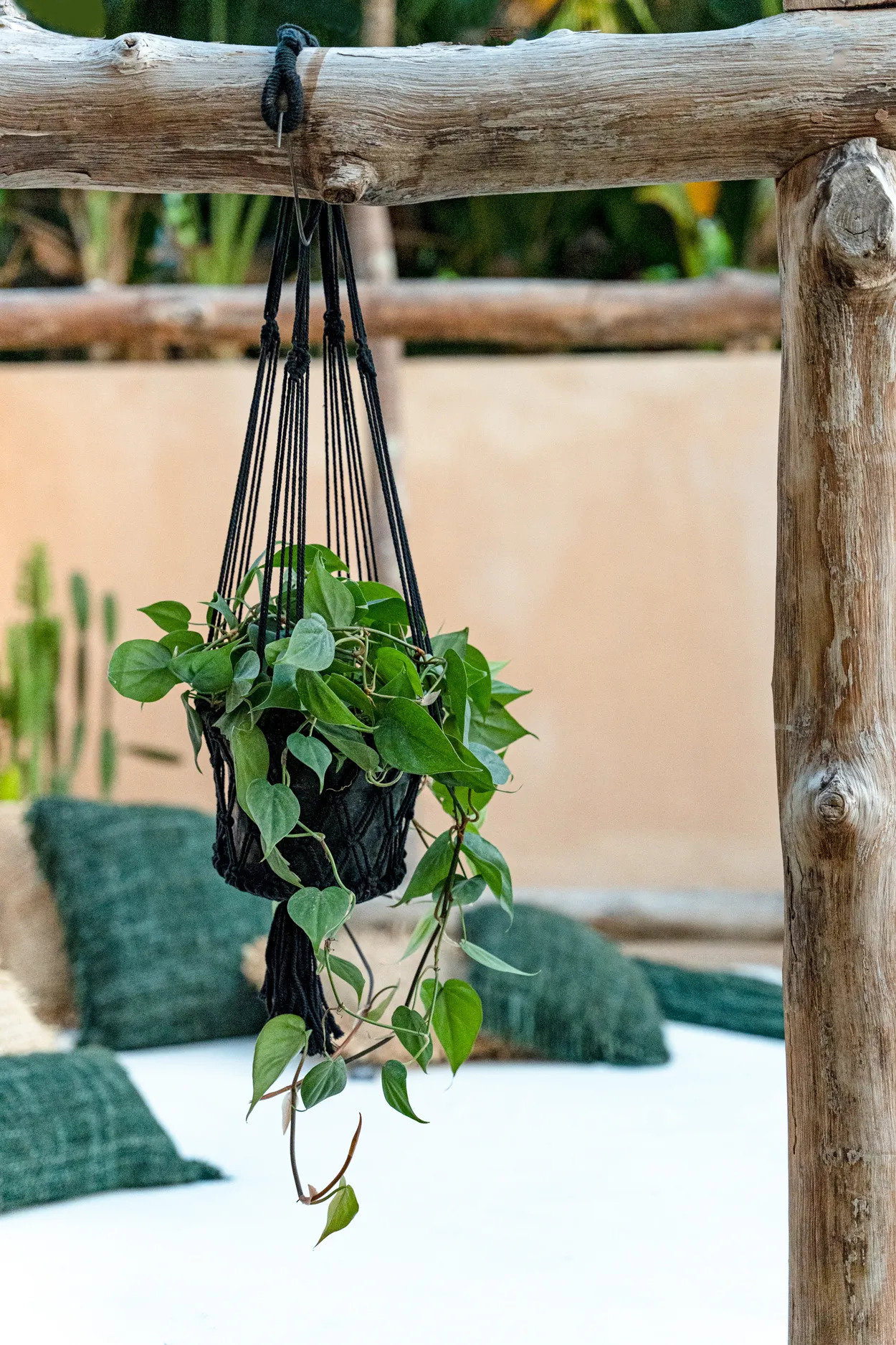 Macrame Plant Hanger Black