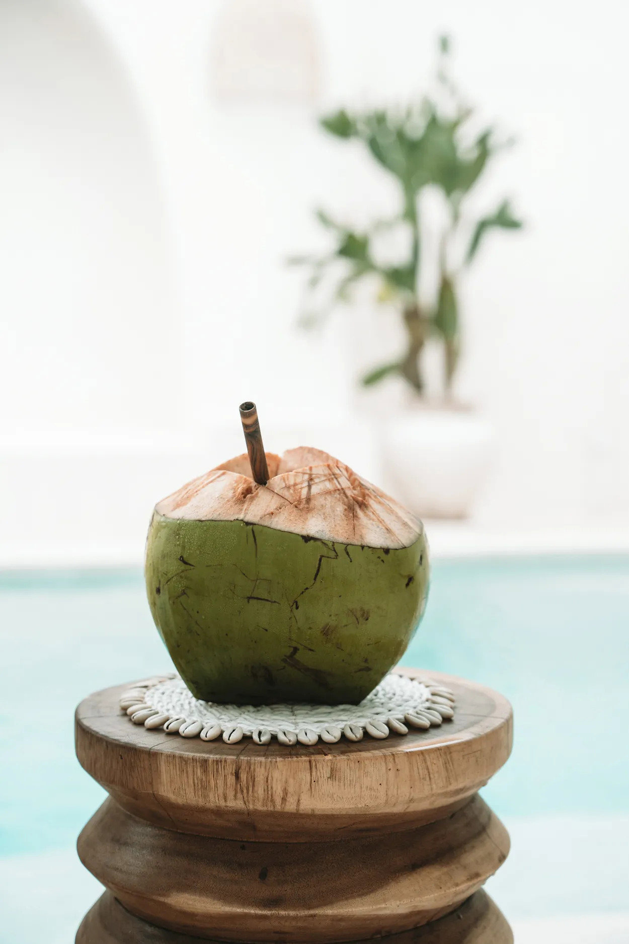 The Seagrass Basket Coaster - White