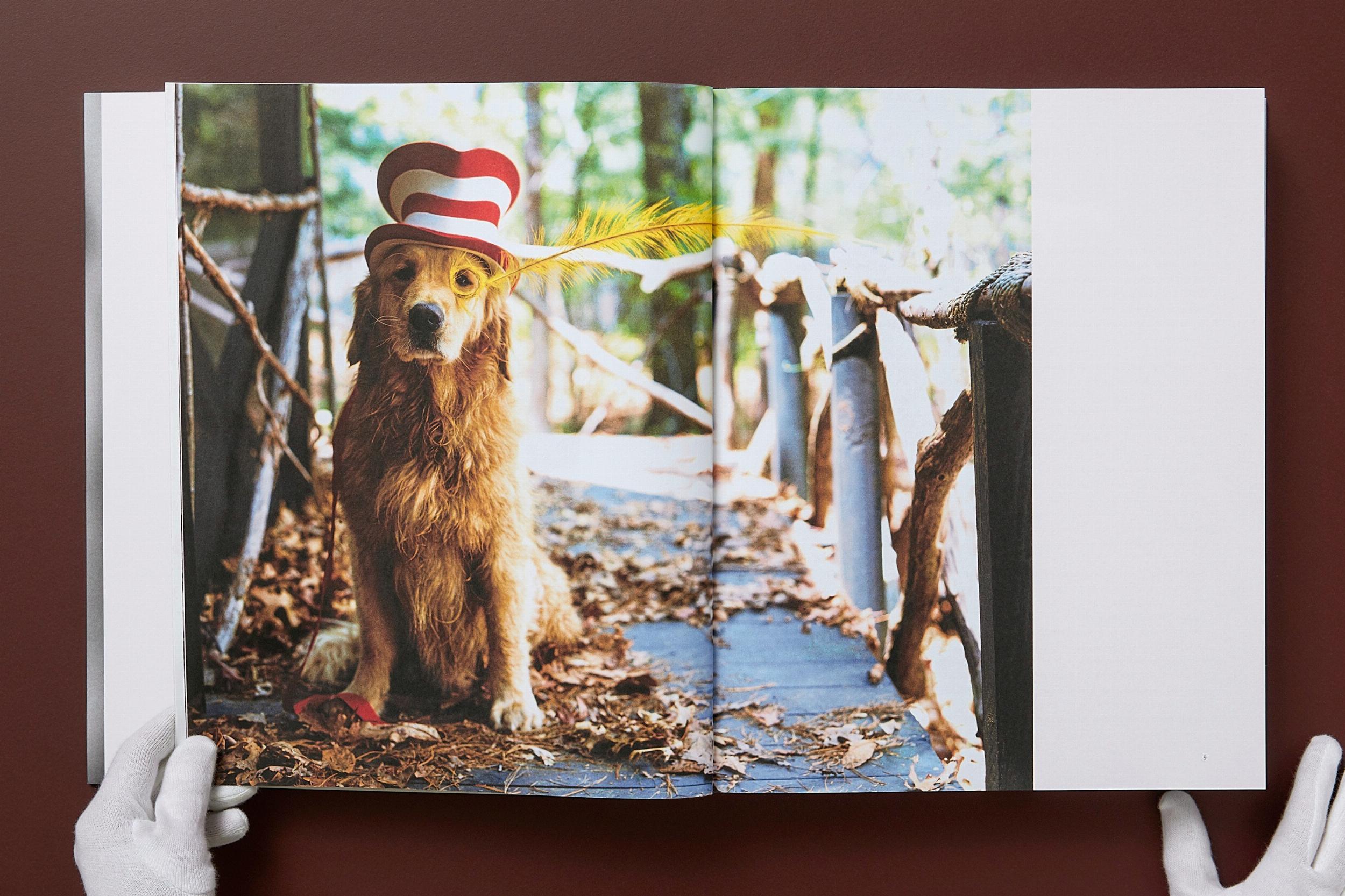 Bruce Weber. The Golden Retriever Photographic Society