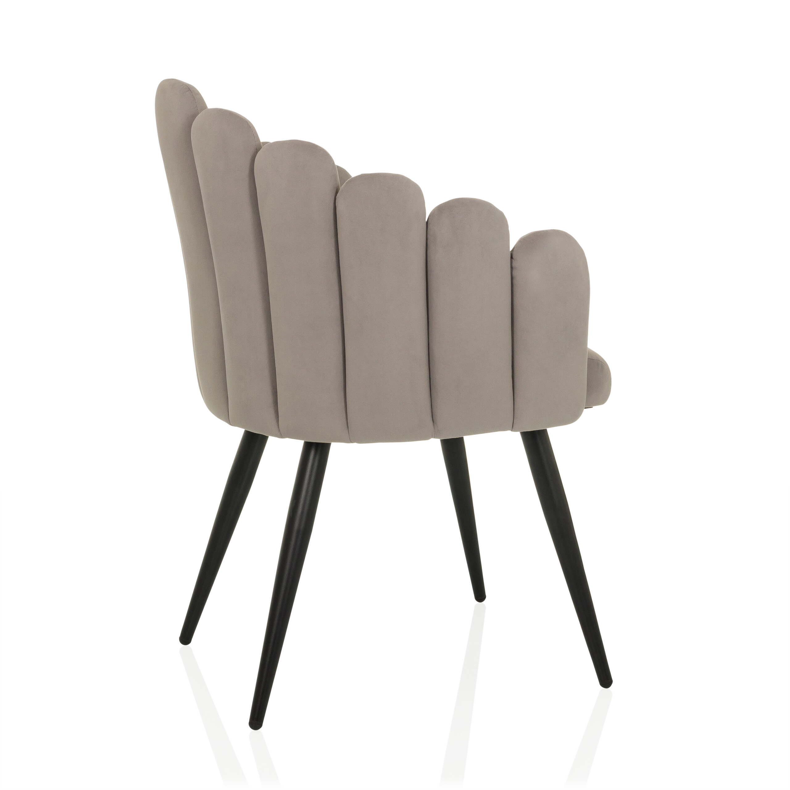 SCALLORE Dining chair in shell shape velvet grey