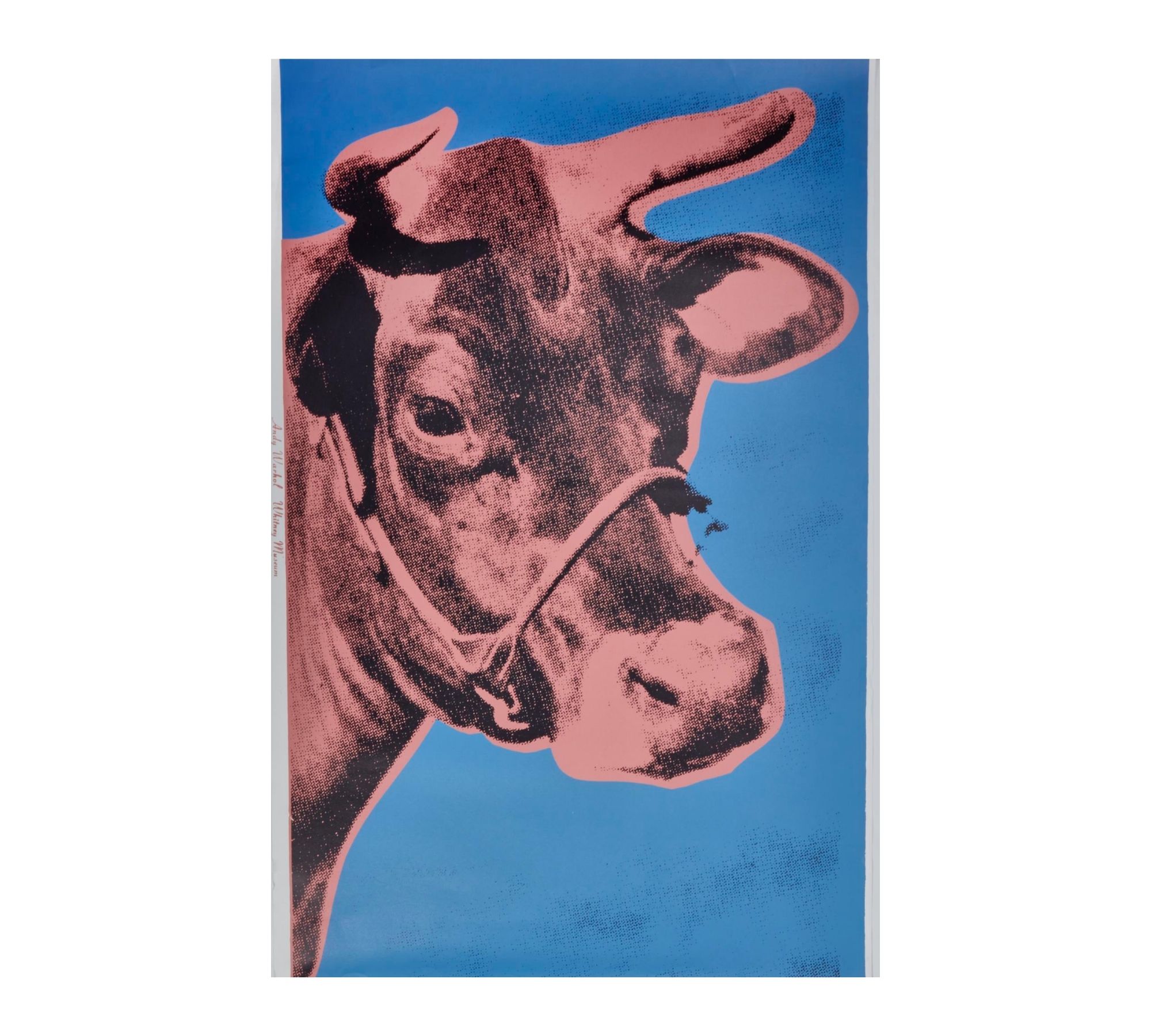 Cow, 1976 - Andy Warhol 85 x 53 cm