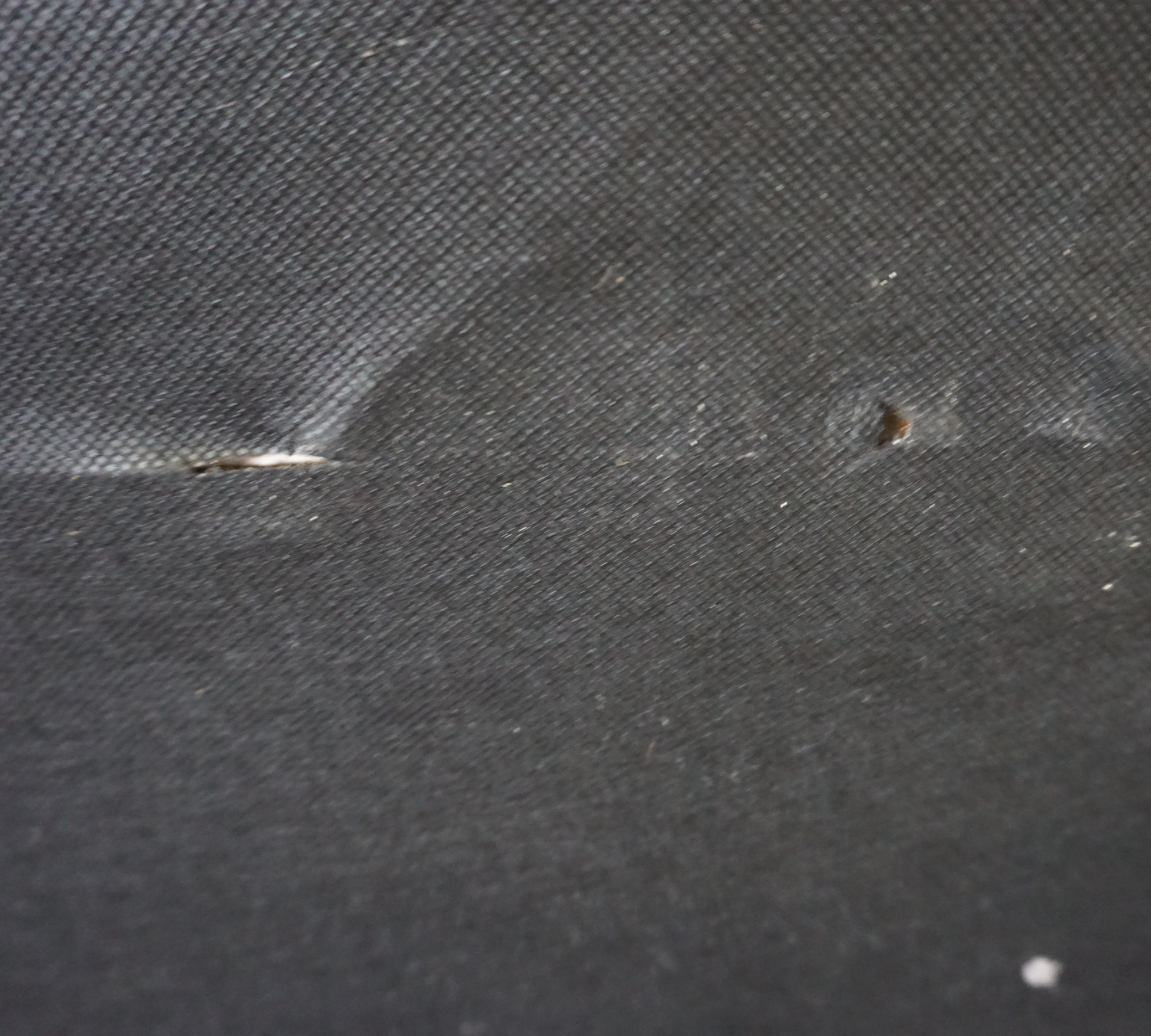 Daphne 1-Sitzer Récamiere Links Maya Warm Grey