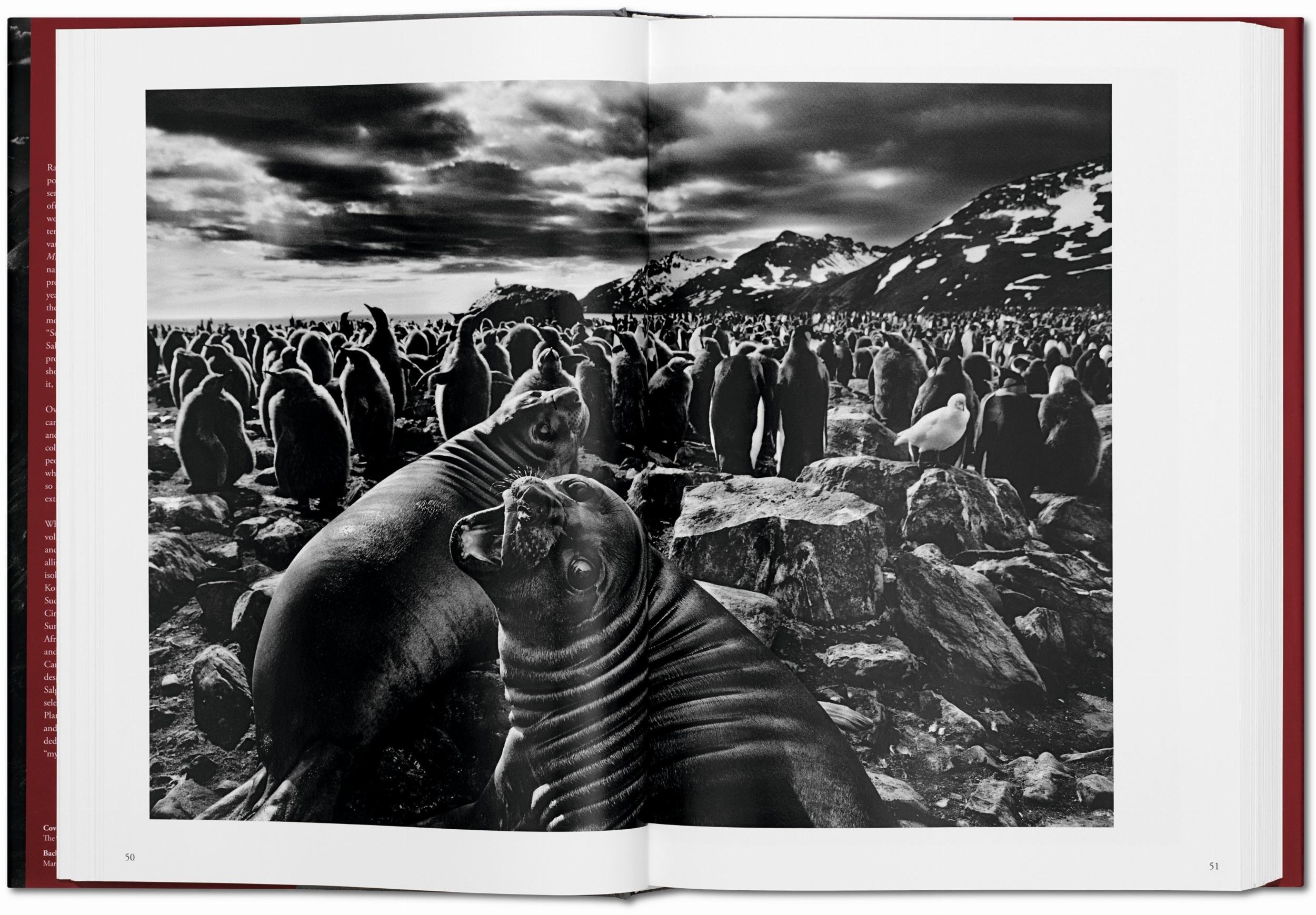 Sebastião Salgado. Genesi