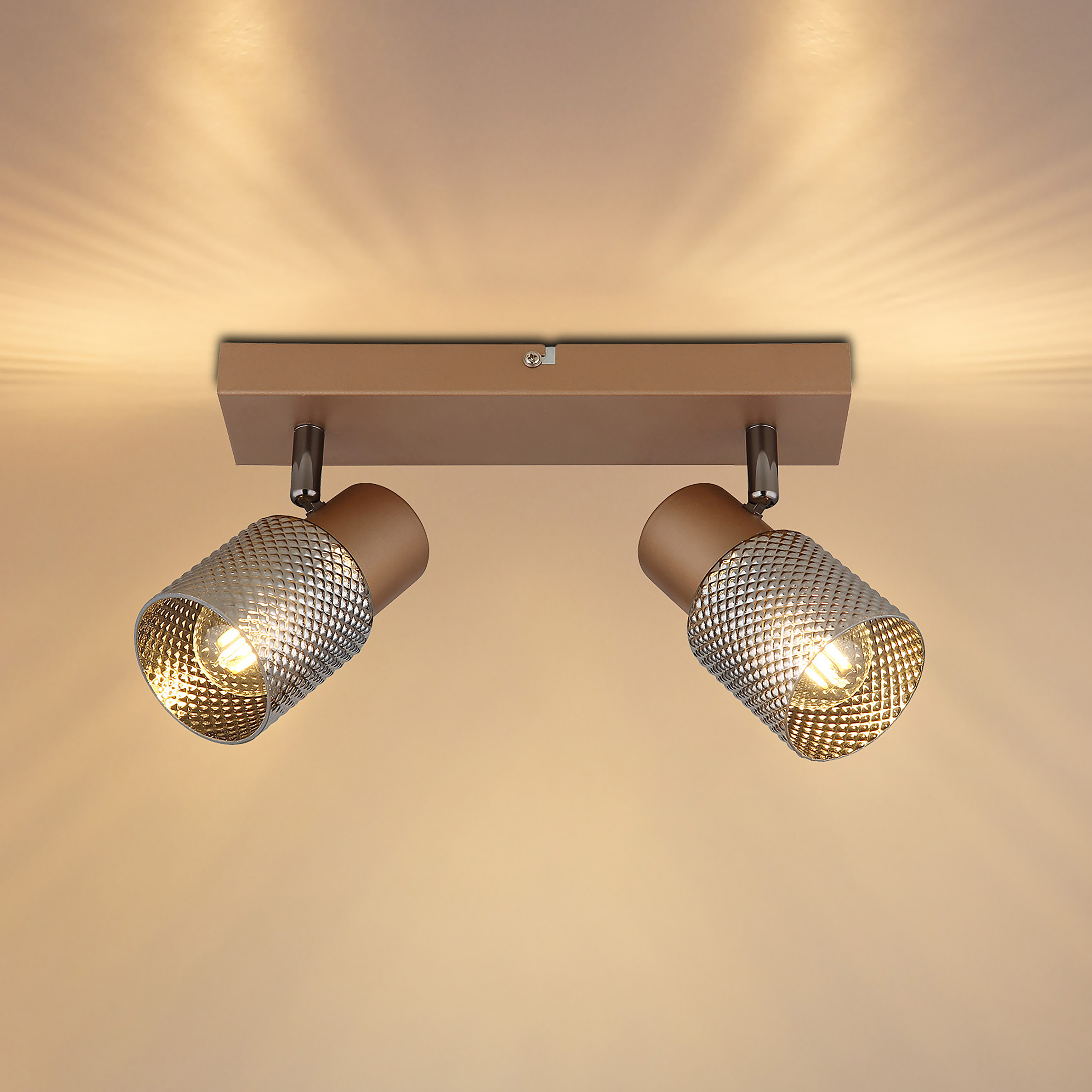 Ceiling lamp Satella Type F smoked glass / iron
