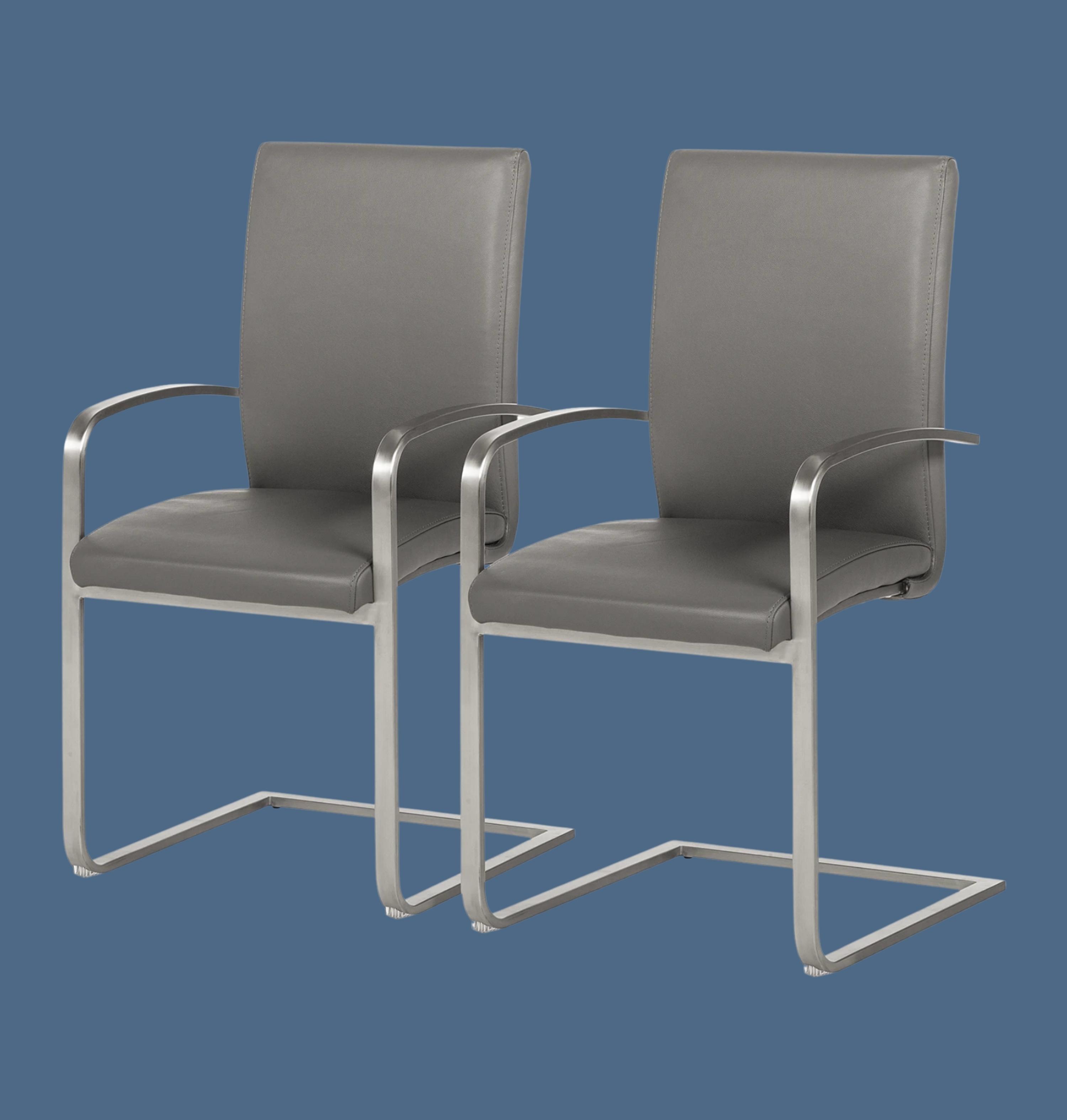 2er Set Freischwinger Echtleder Grau