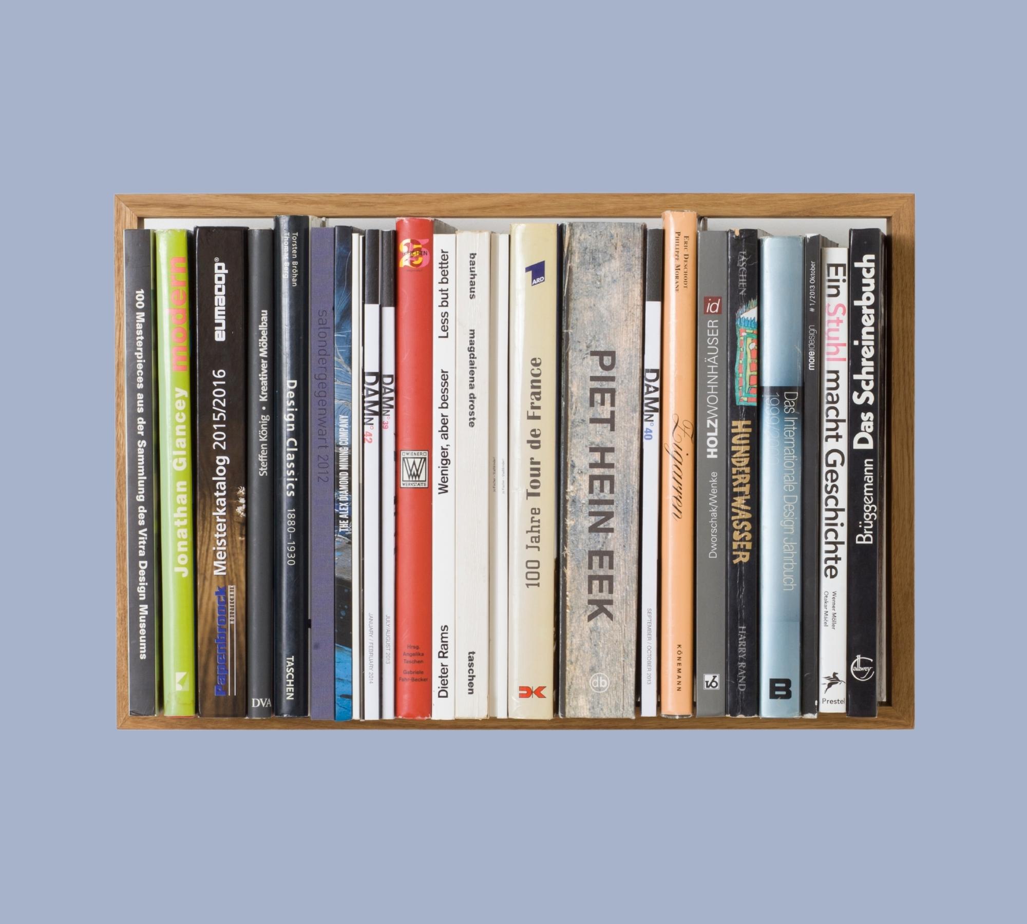 Bücherregal mit Eichenrahmen b8 Kratzspuren Oberfläche