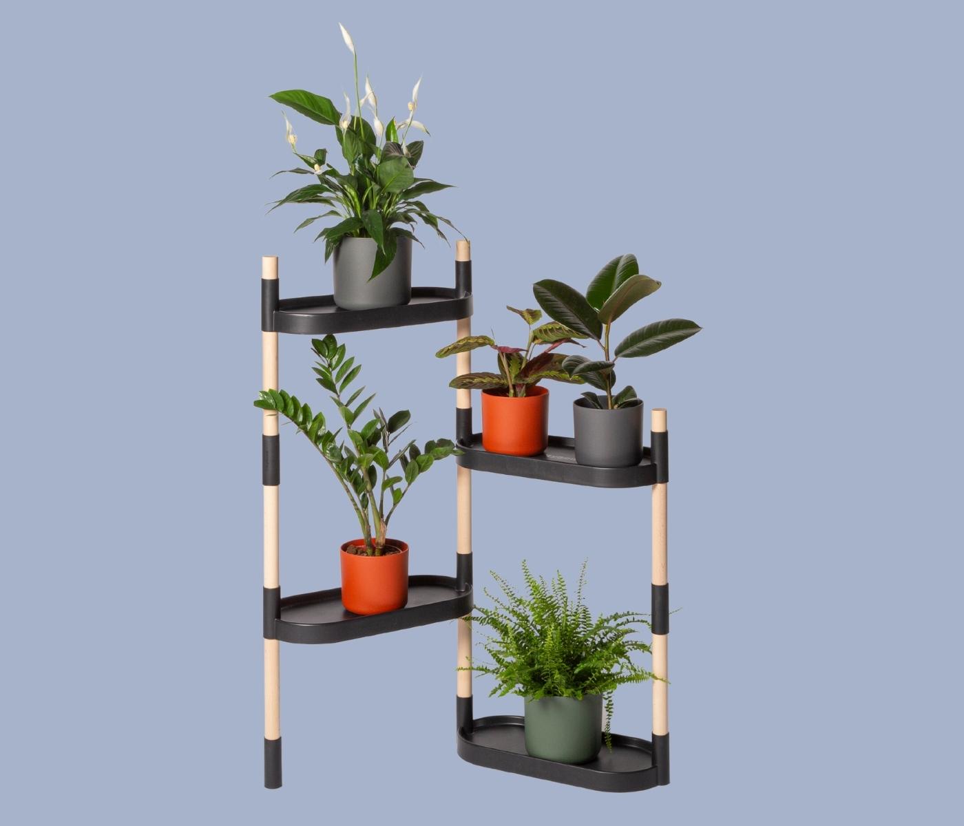 Modulares Pflanzengestell mit 4 Regalböden Schwarz