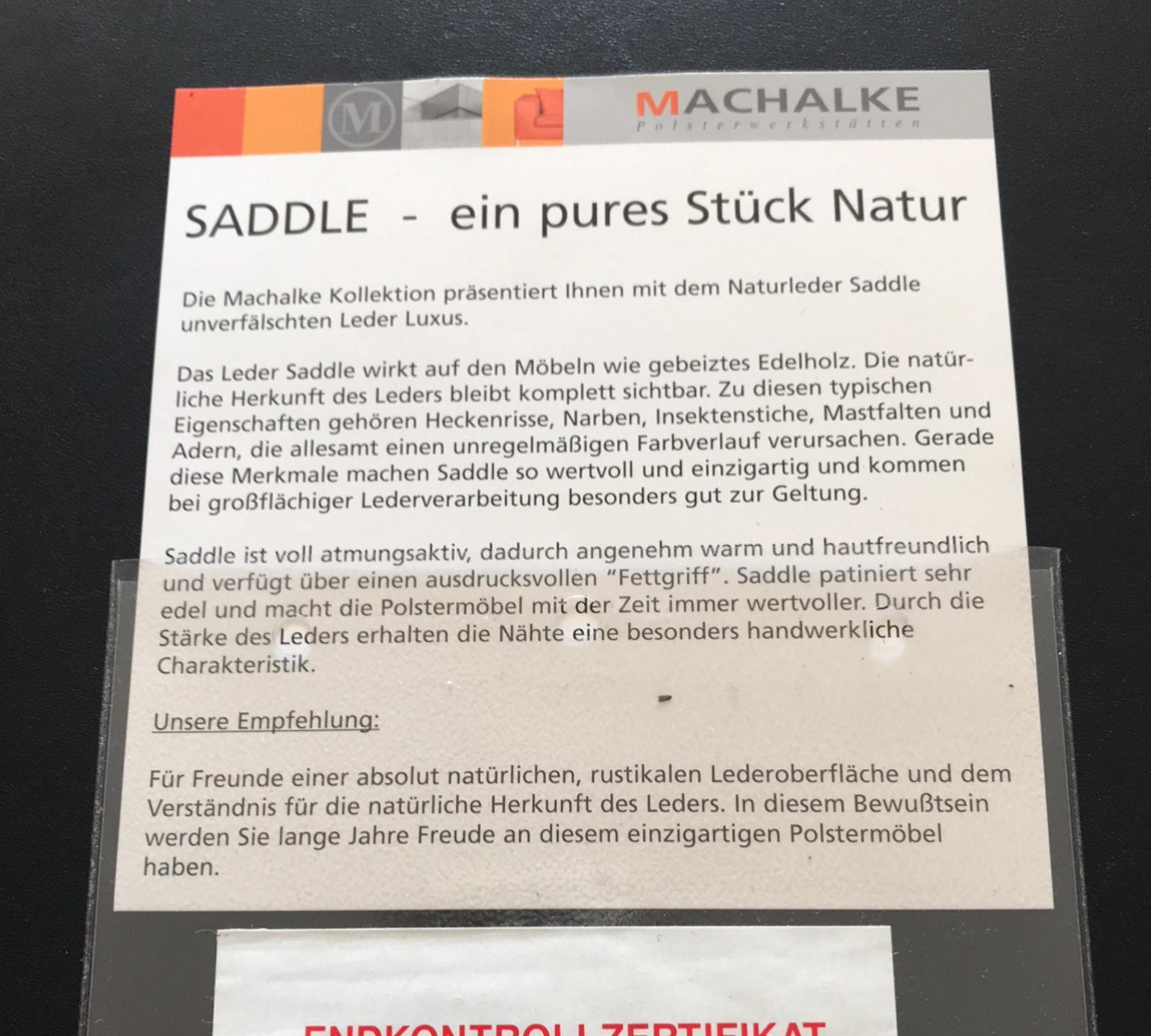 Klassische Saddle Sofasitzgarnitur aus Büffelleder Schwarz