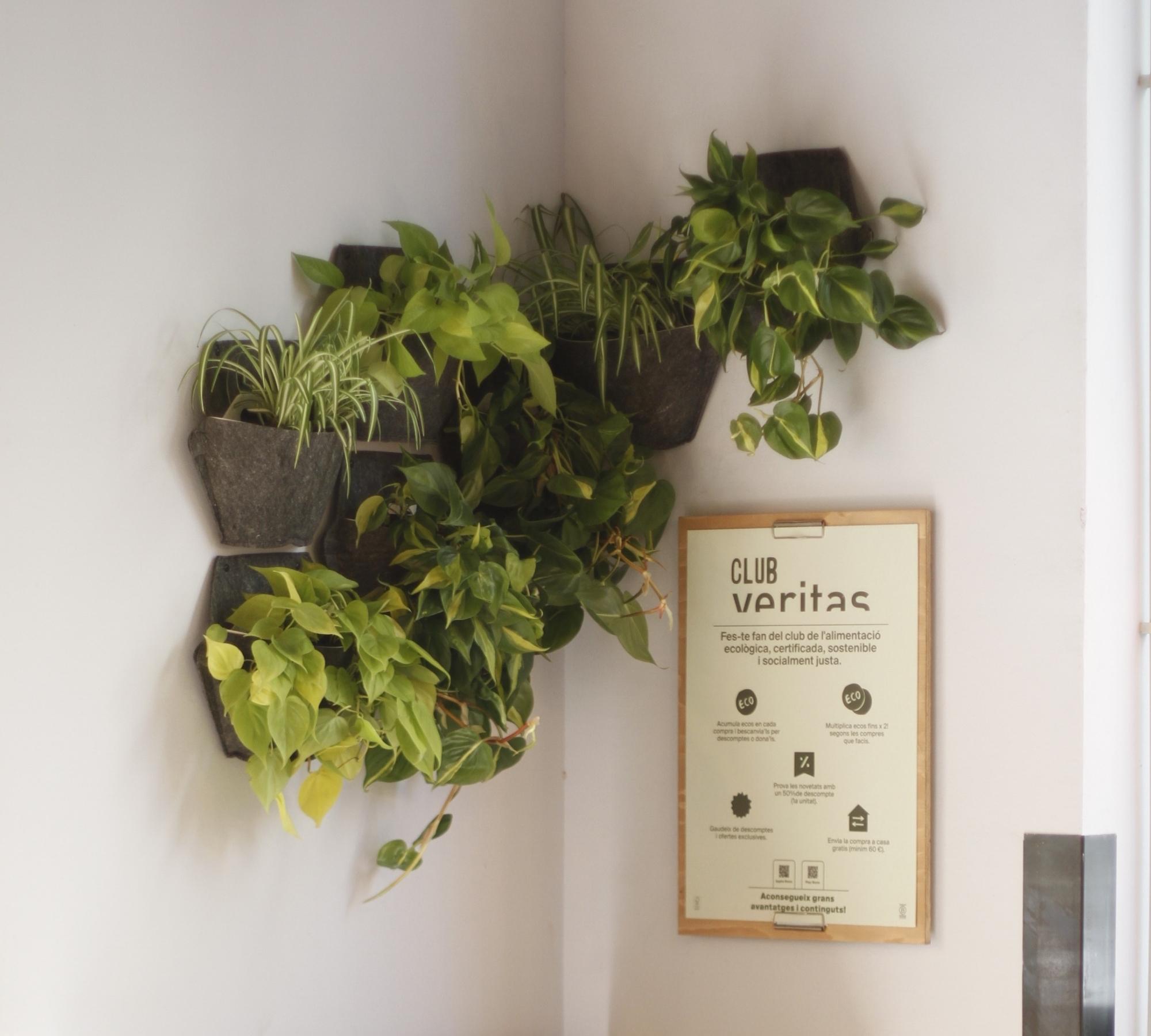 3x Wall planter Black with self-watering textile cover