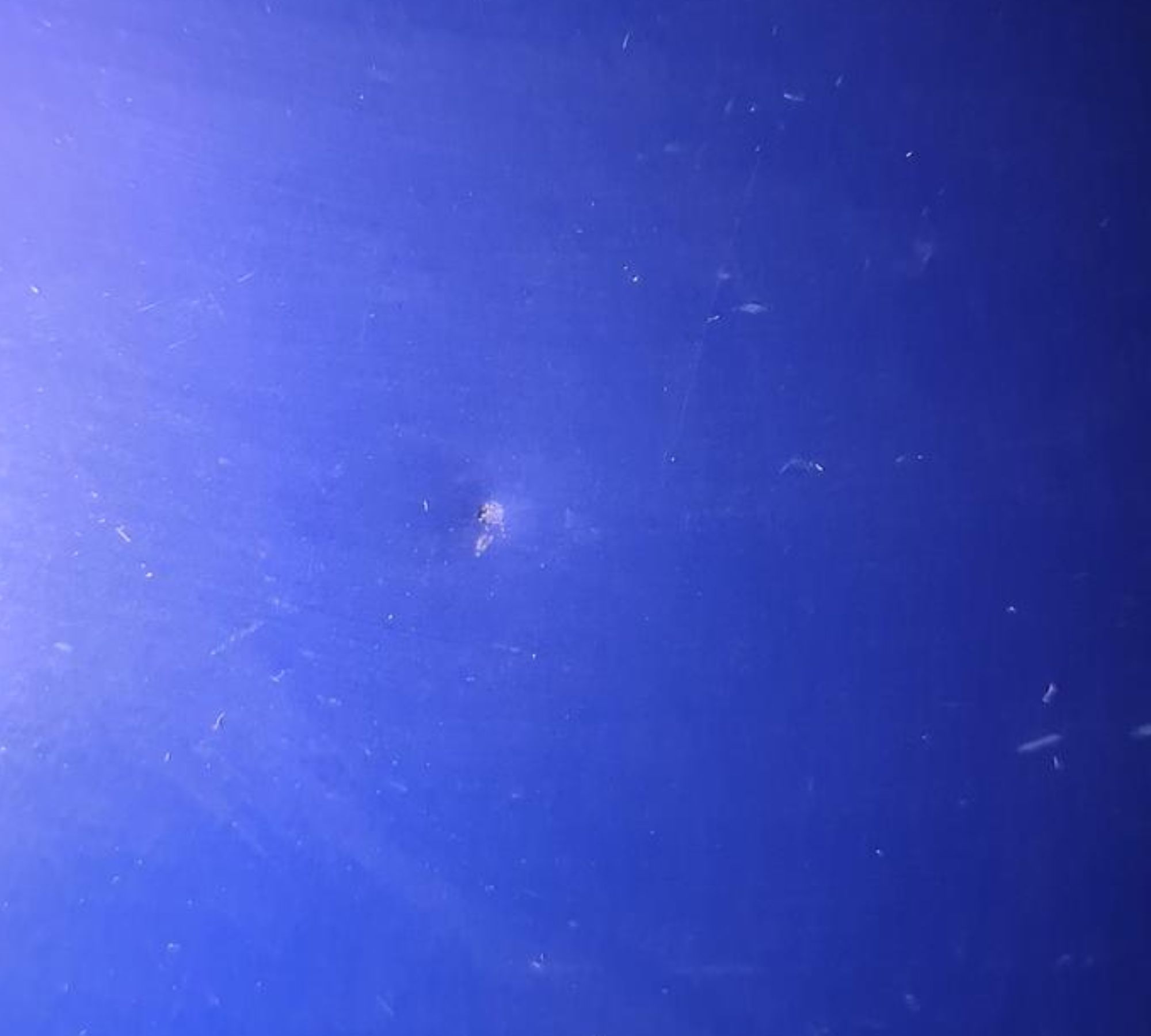 Ufo T9510/T204 Pendant Lamp Metal Blue