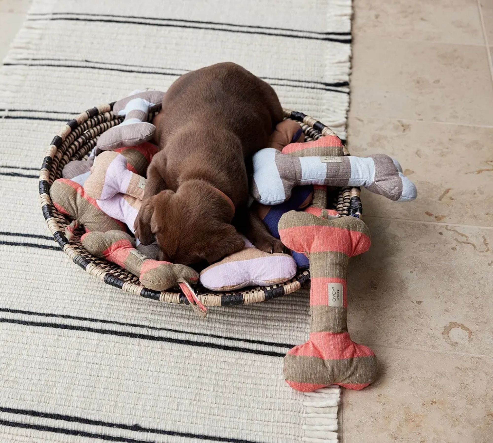 Ashi Hundespielzeug Groß Textil Blau