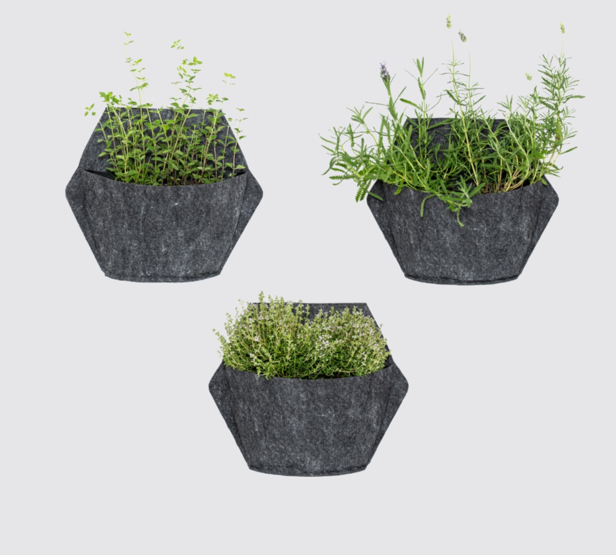 3x Wand-Blumentopf Schwarz mit Selbstbewässerung Textilbezug